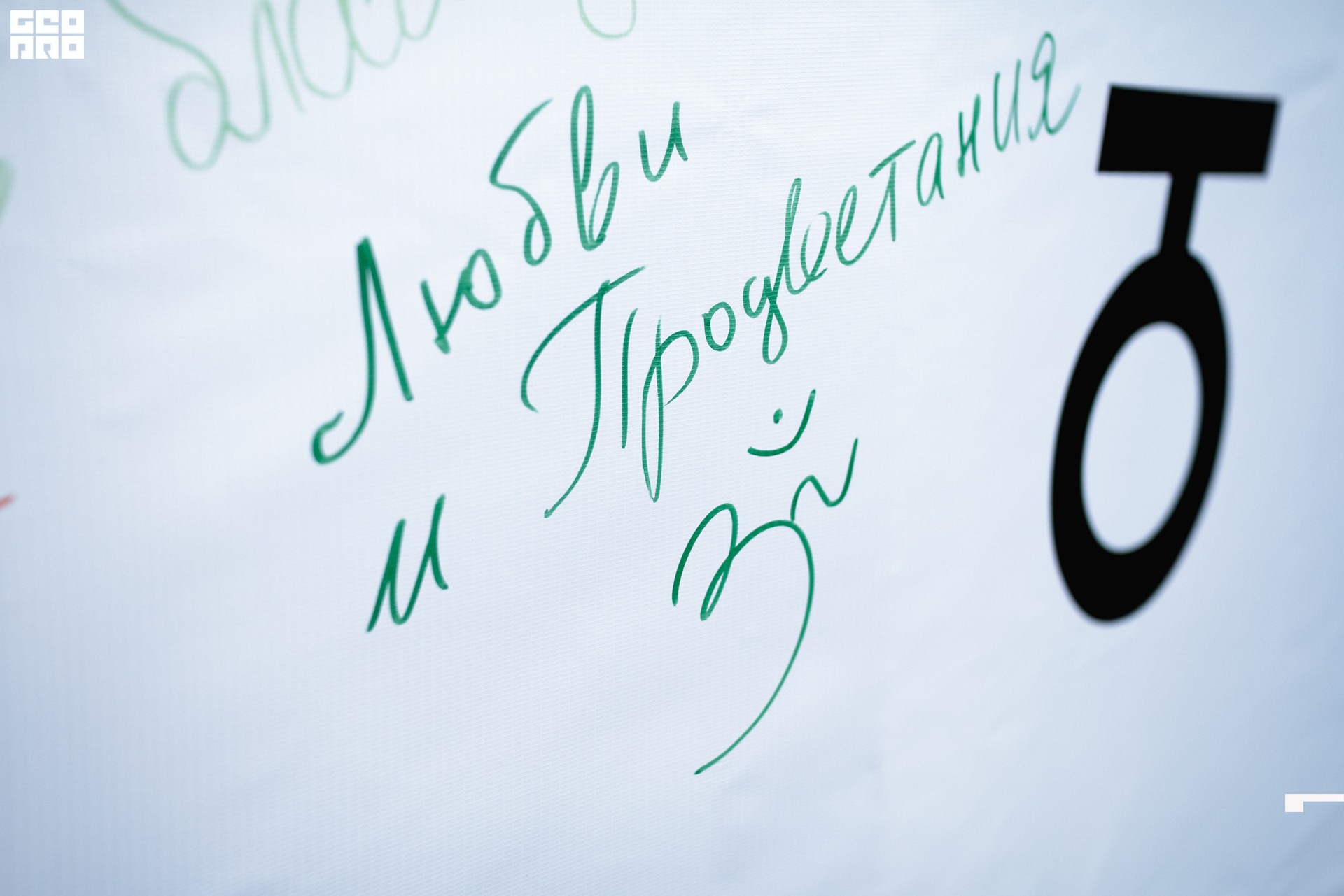 0197 190825 Organic nation.jpg