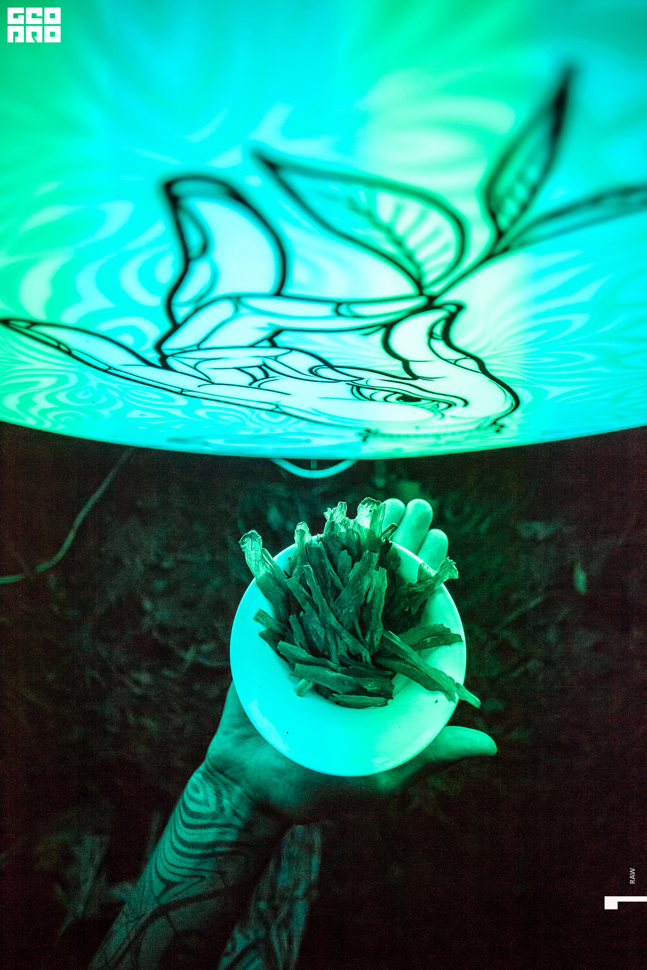 Photo-194 копия.jpg