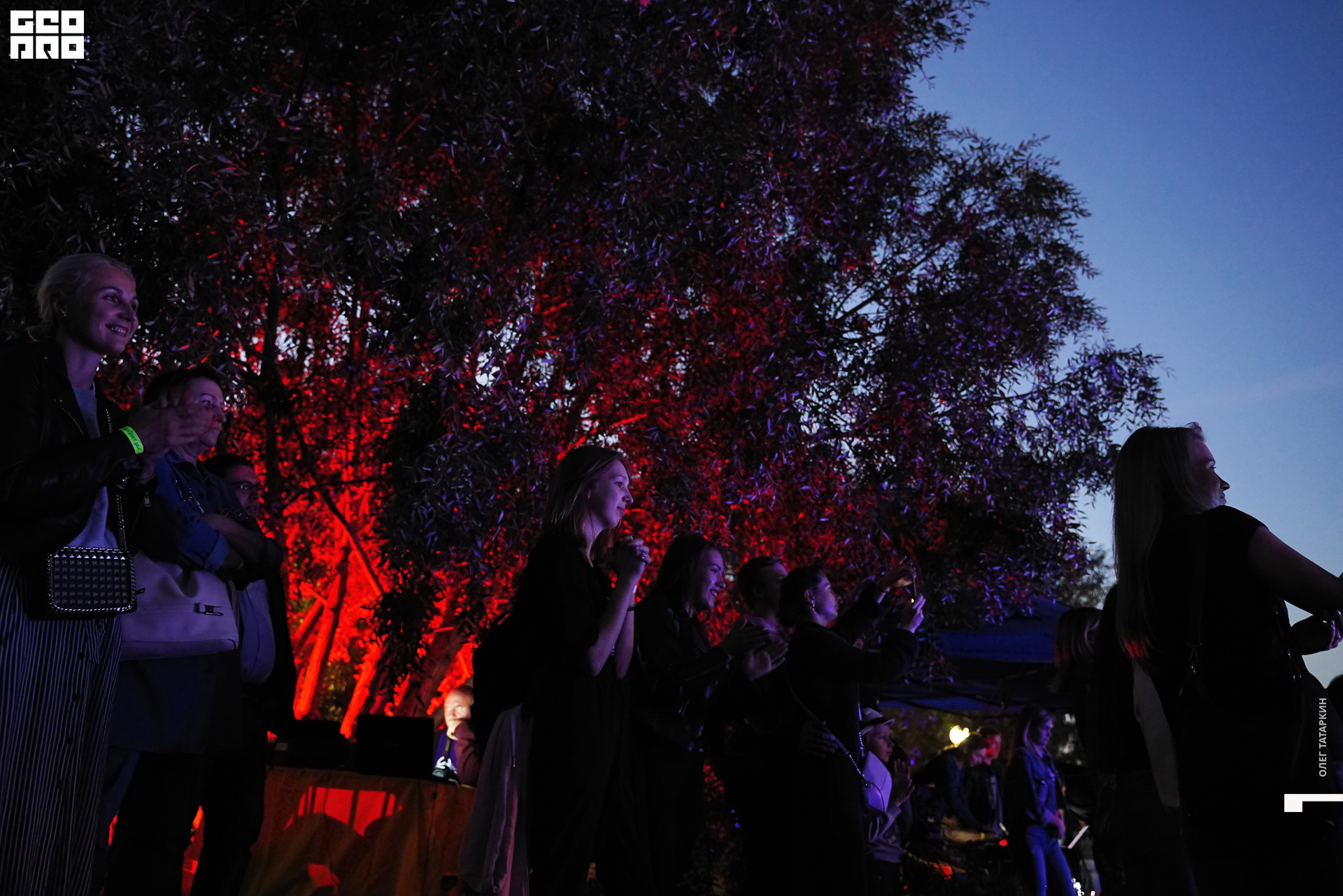 19-08-22 20-51-14_Татаркин.jpg