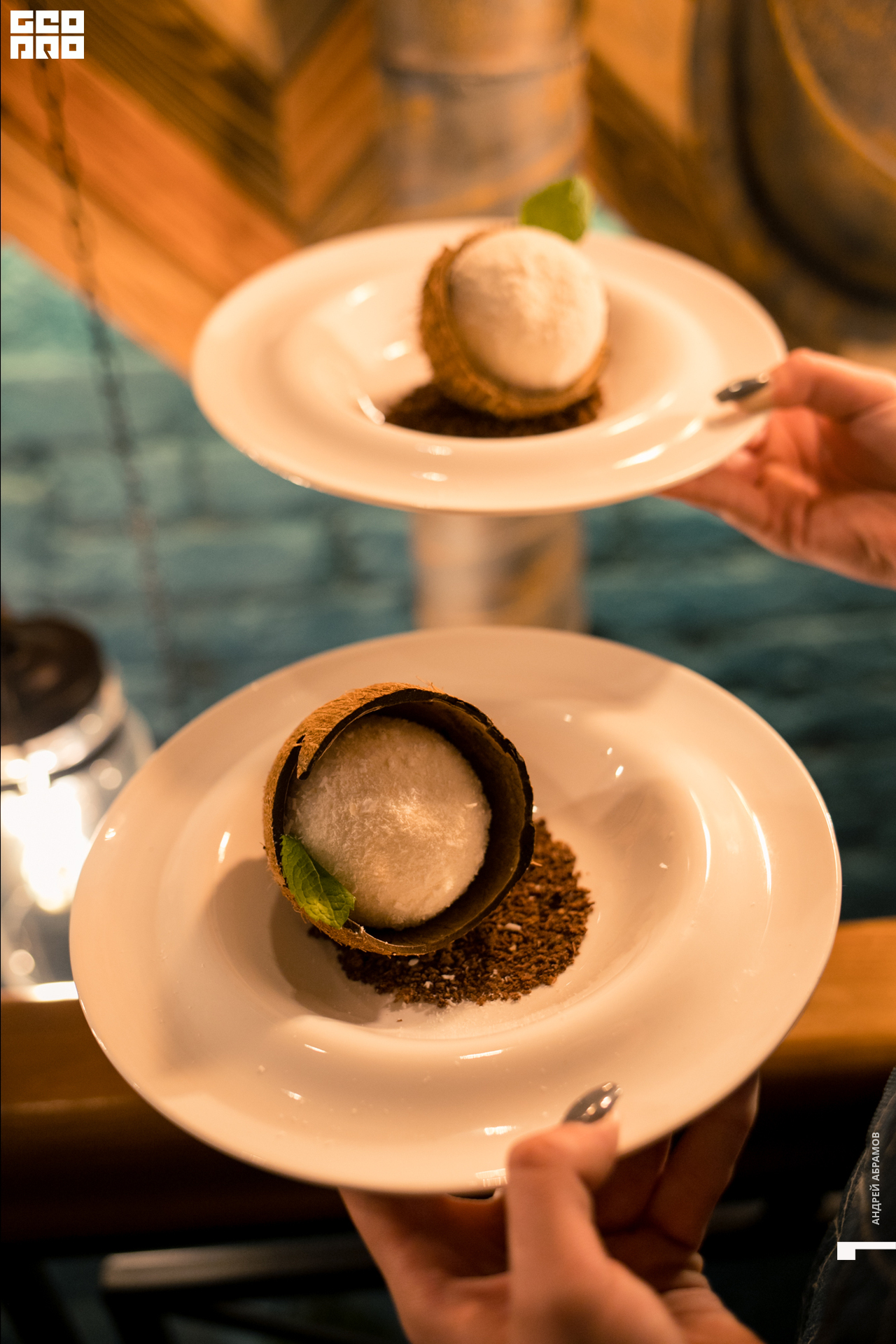 020819 Птичка Абрамов058.jpg