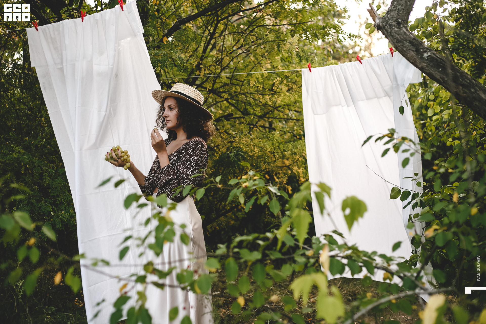 0083 21082019_184253_Gulyaev.jpg