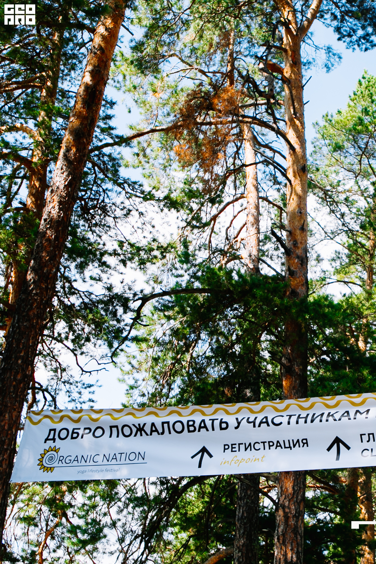 0387 190825 Organic nation.jpg