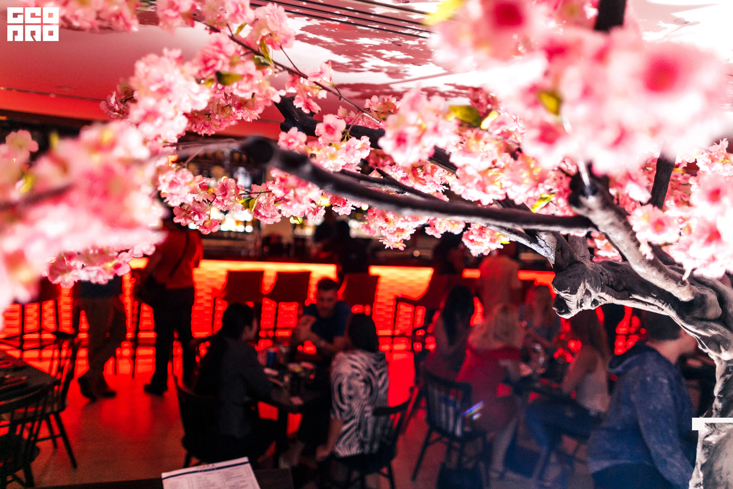 Nara Pan (6 of 69).jpg