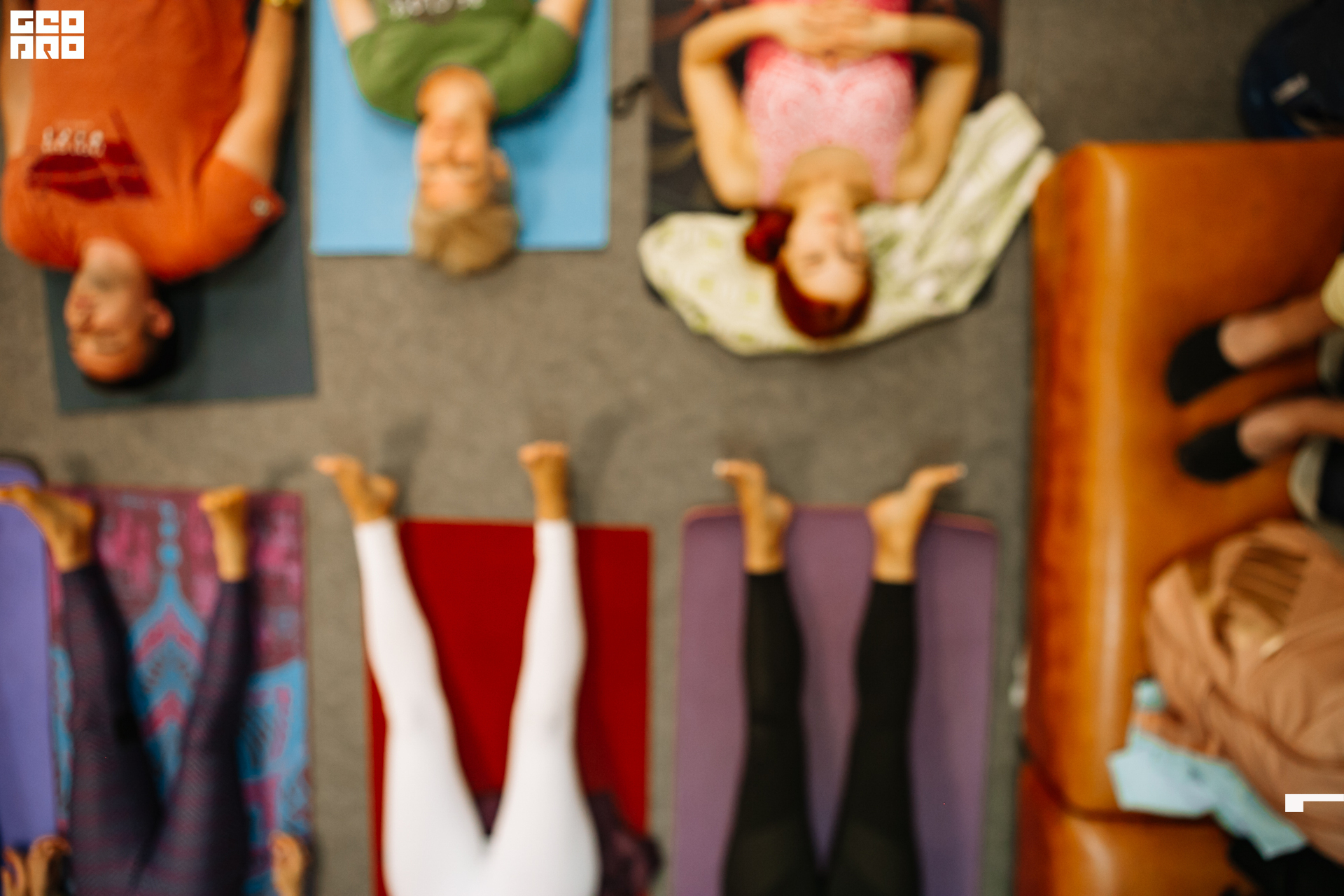 0187 190825 Organic nation.jpg