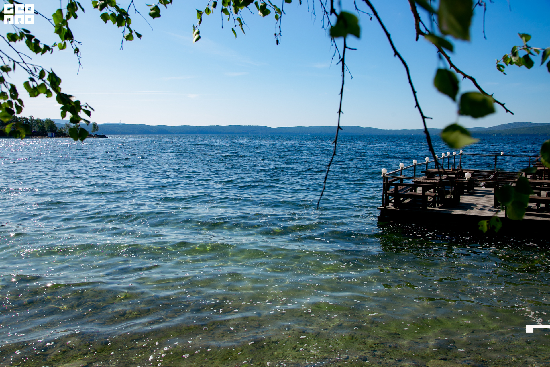 0032 190825 Organic nation.jpg