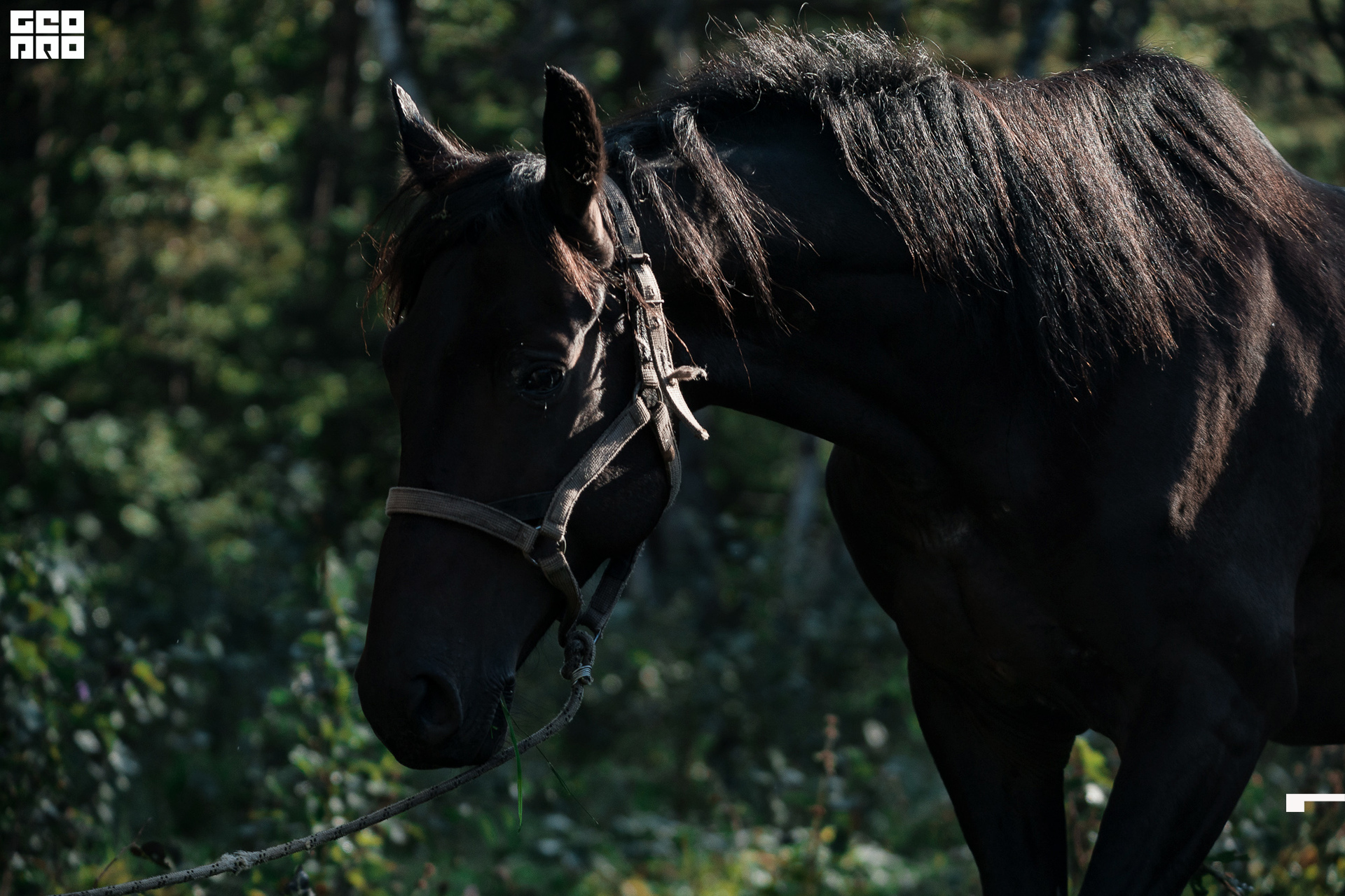 Jpeg-96 копия.jpg