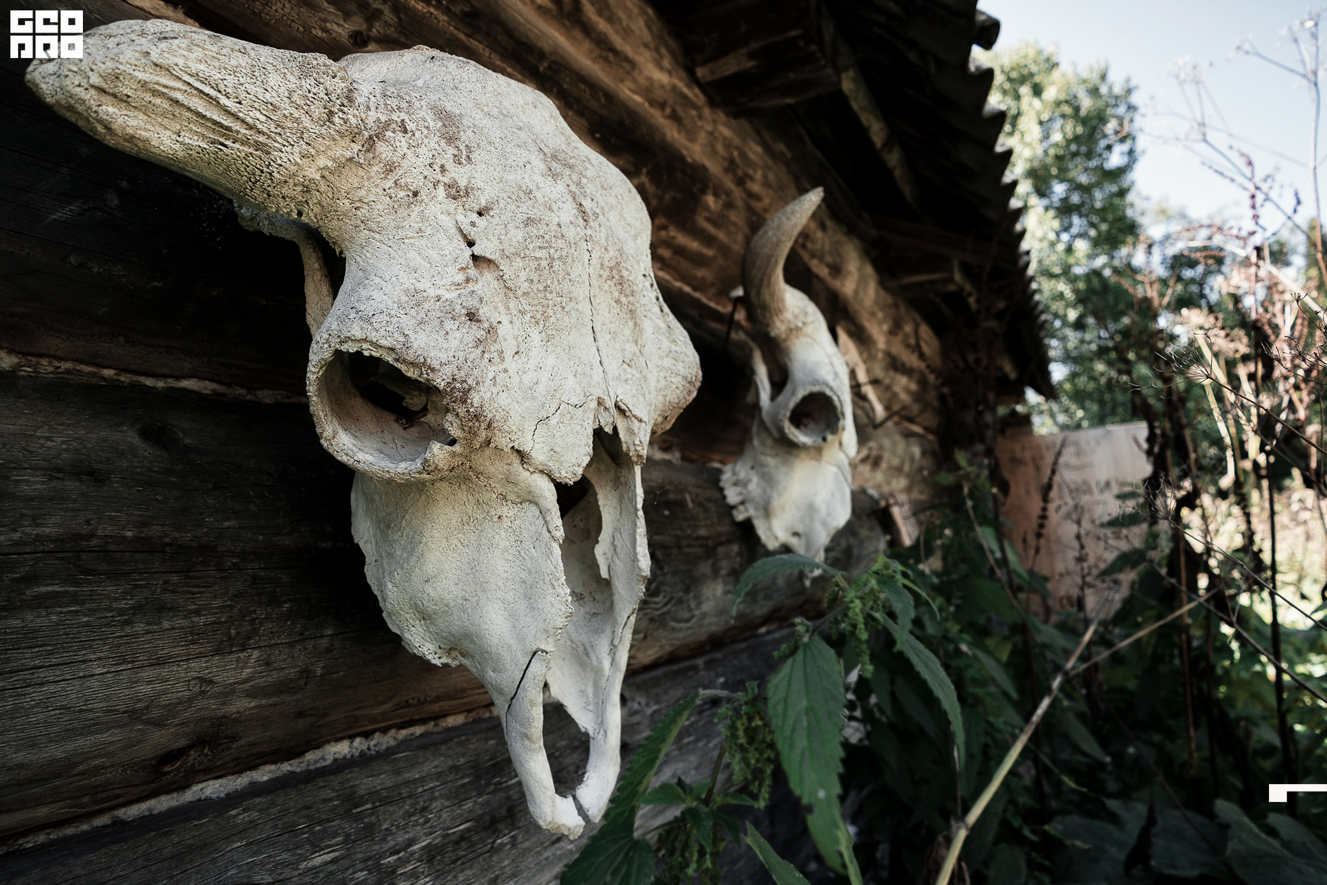 Jpeg-113 копия.jpg