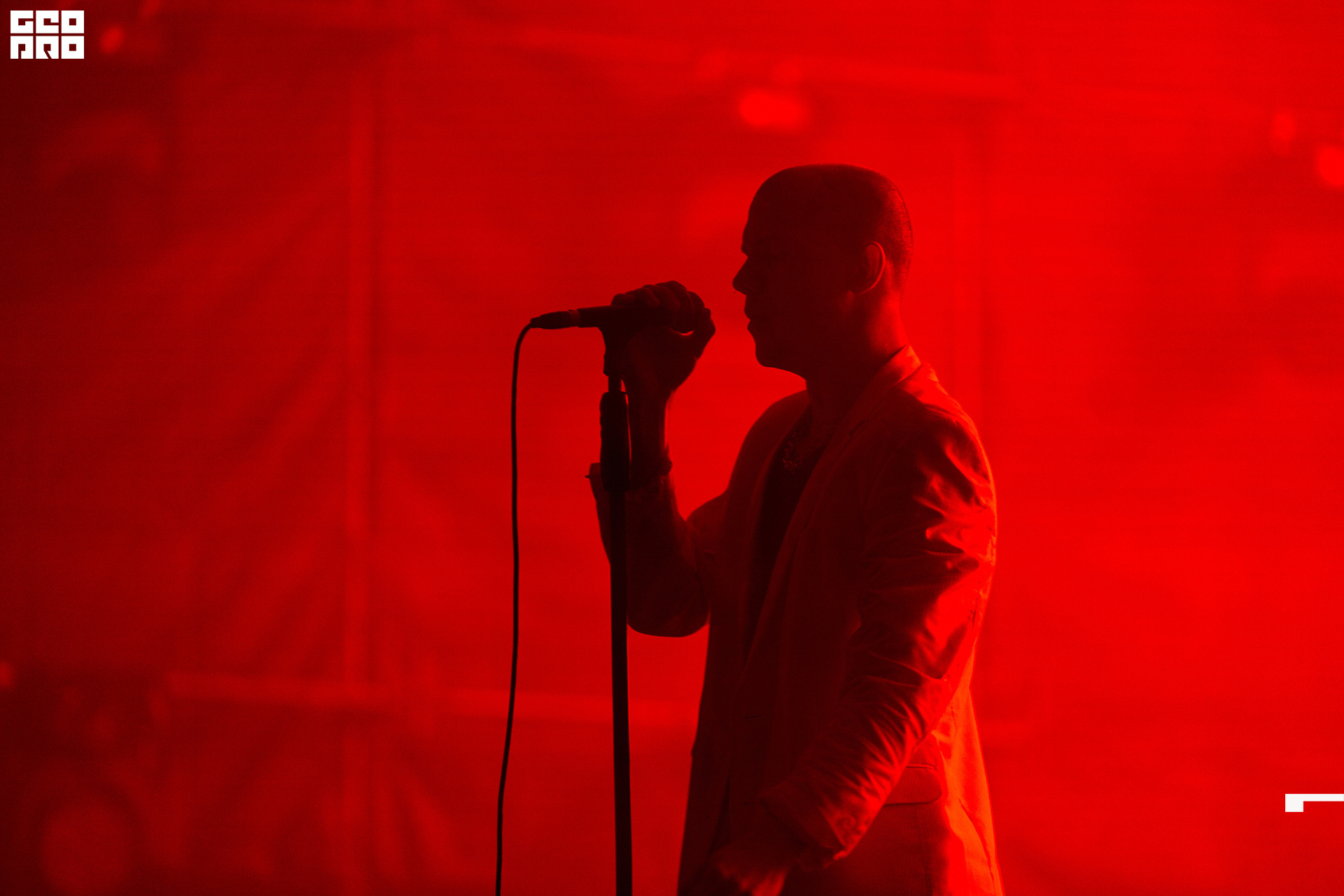 IMG07419 копия.jpg