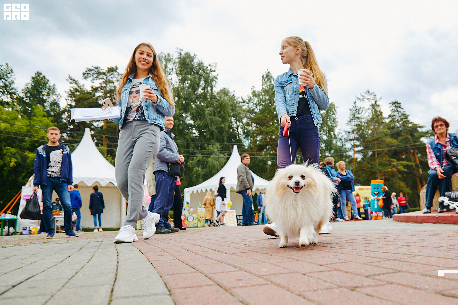 0001 190803 Fresh Fest .jpg