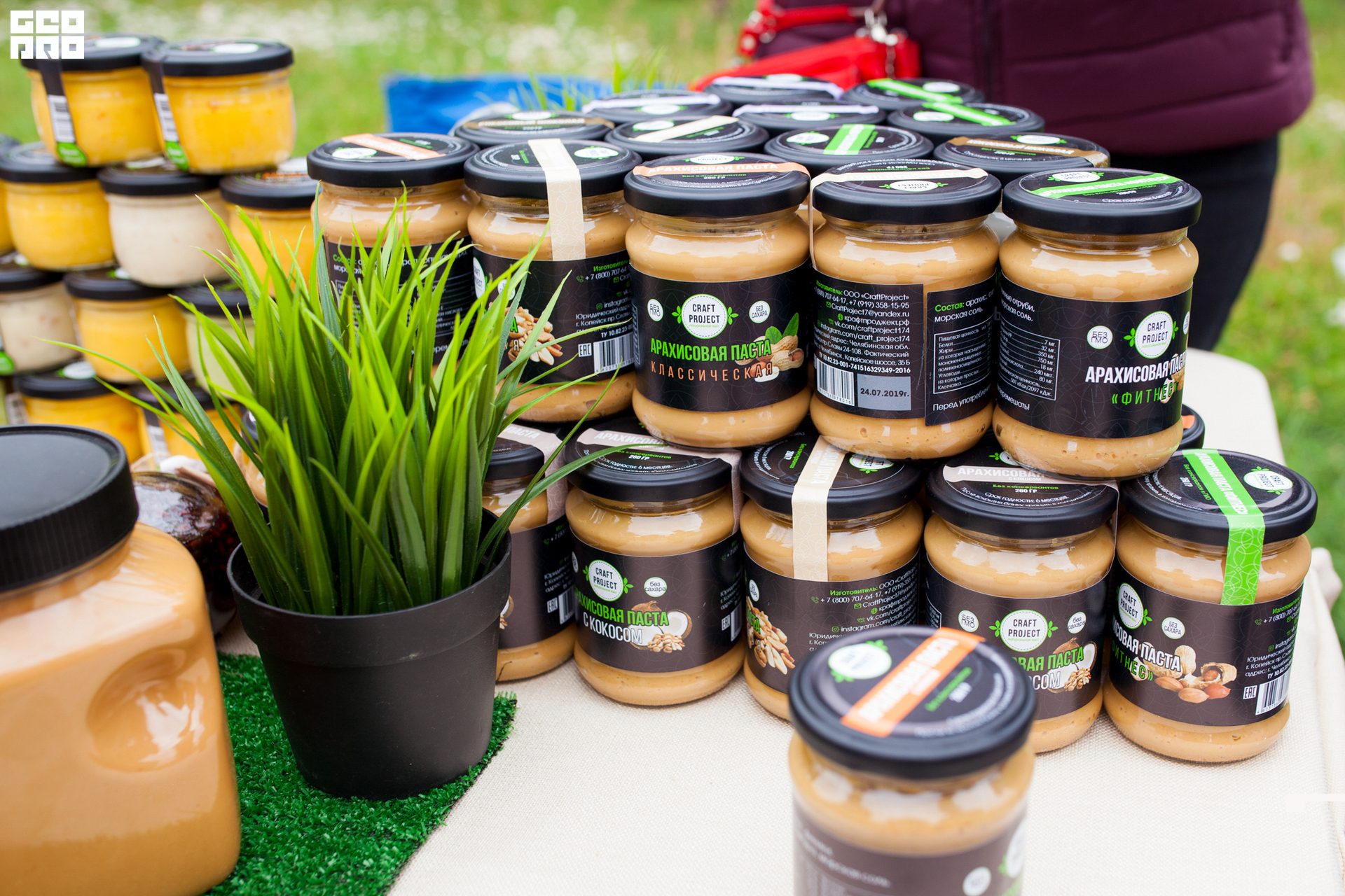 0137 190803 Fresh Fest .jpg