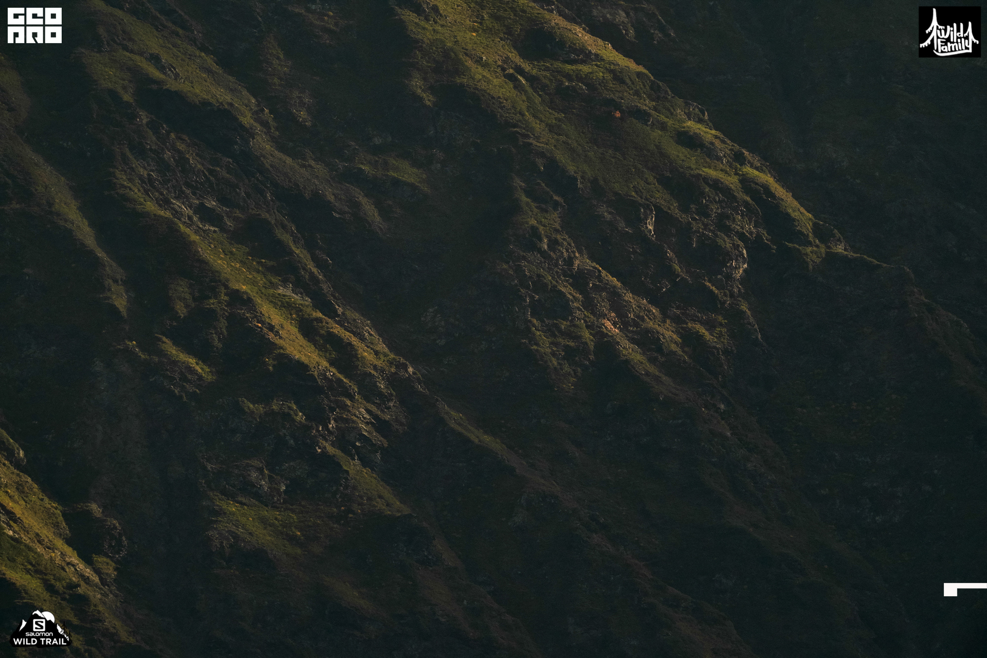 15_09_19 SWT_403.jpg