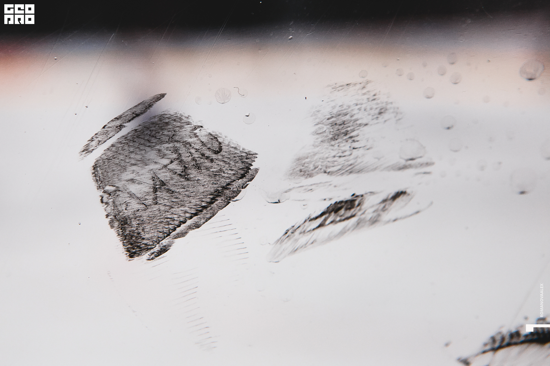 0340 2019-09-04 20-49-00_Романова.jpg