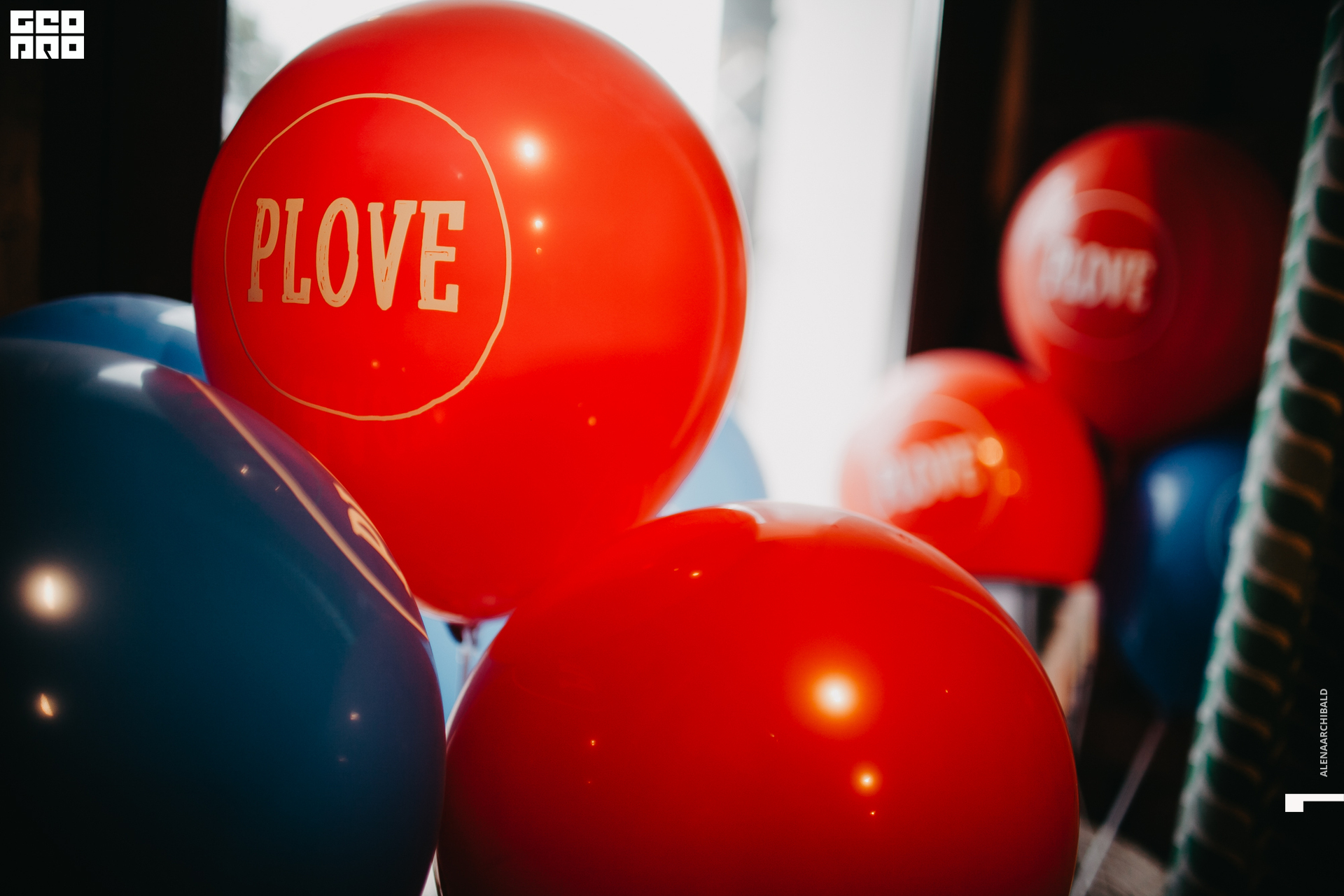 2019-09-02 19-00-16_alenaarchibald_0005.jpg