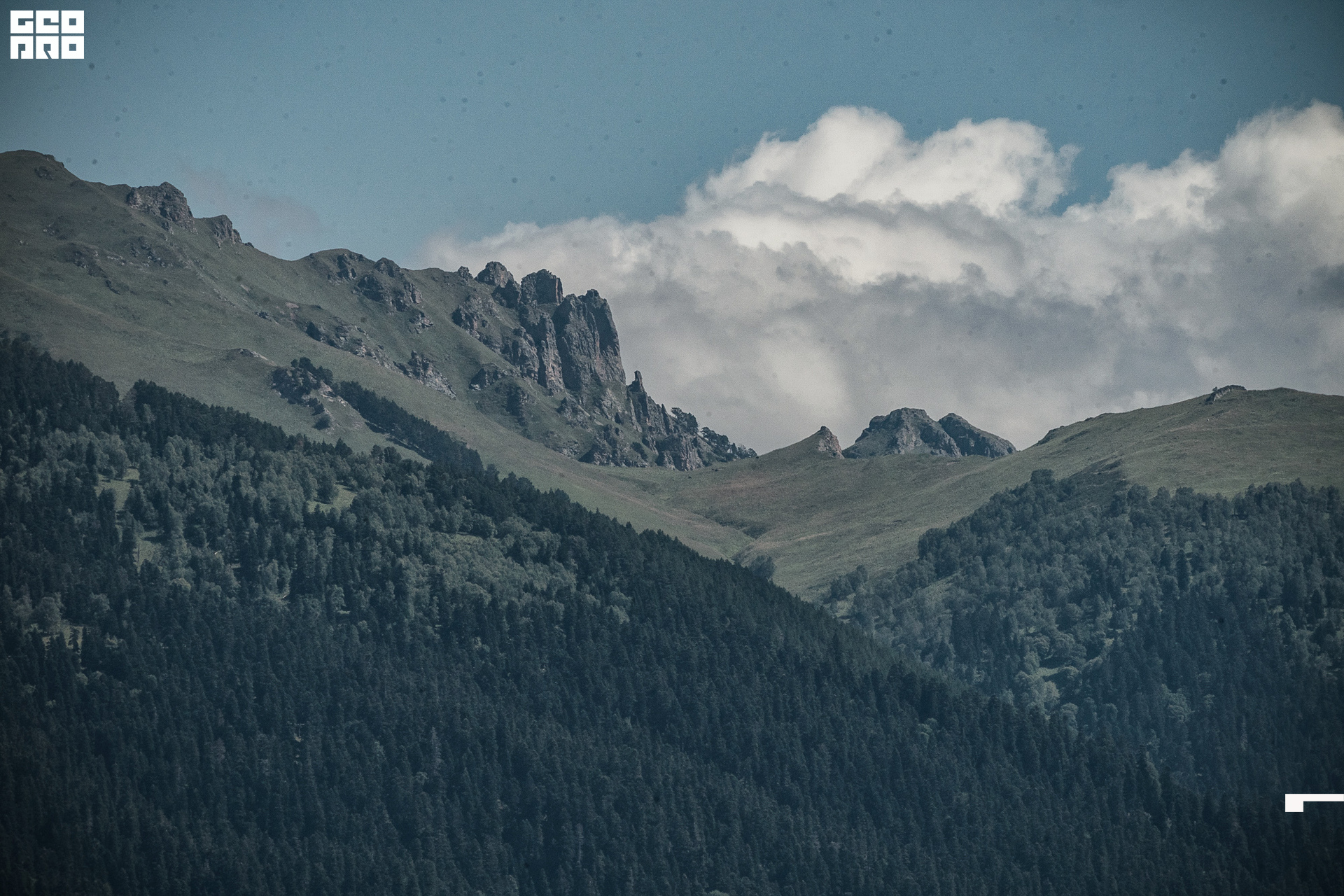 Jpeg-127 копия.jpg