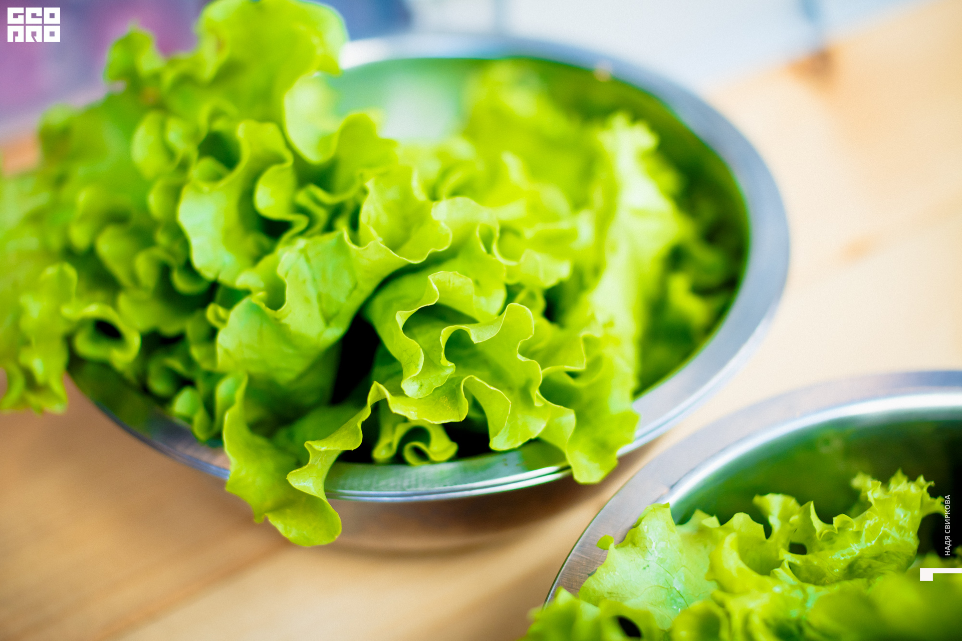 2019-08-06 16-30-01_svirkova_033.jpg