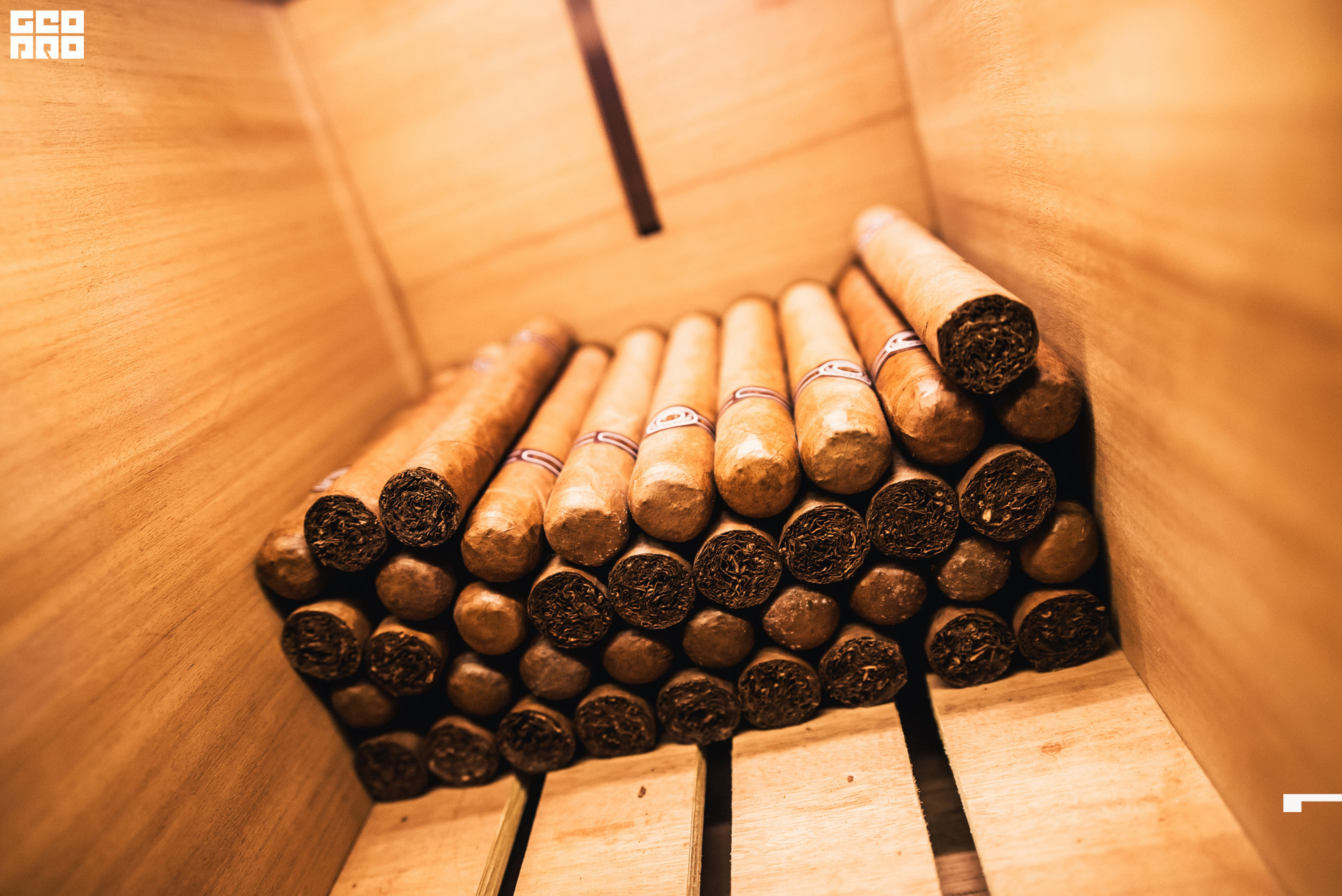 Hendricks-Geometria.tv. -DF0044.jpg