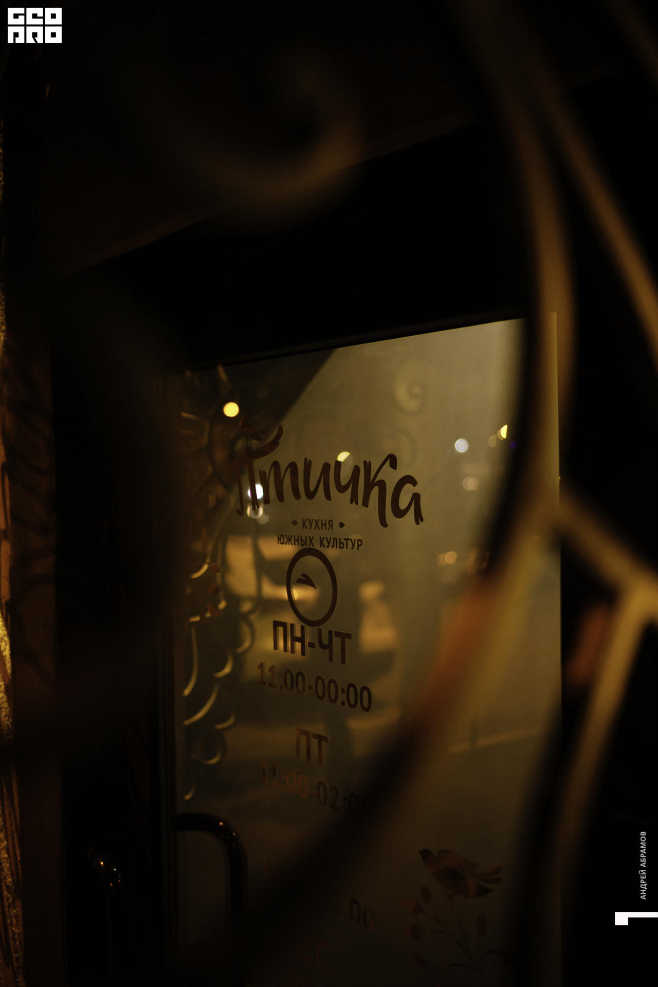 130919 Птичка Абрамов096.JPG