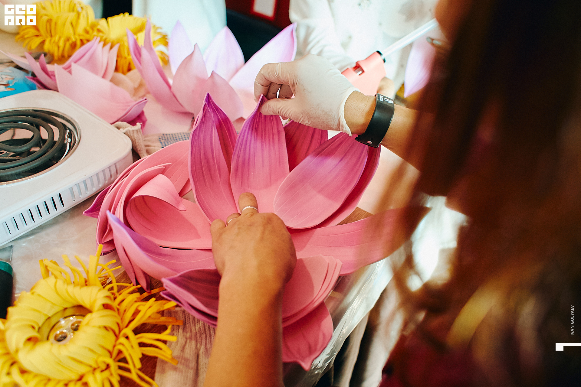 0206 07082019_191356_Gulyaev.jpg