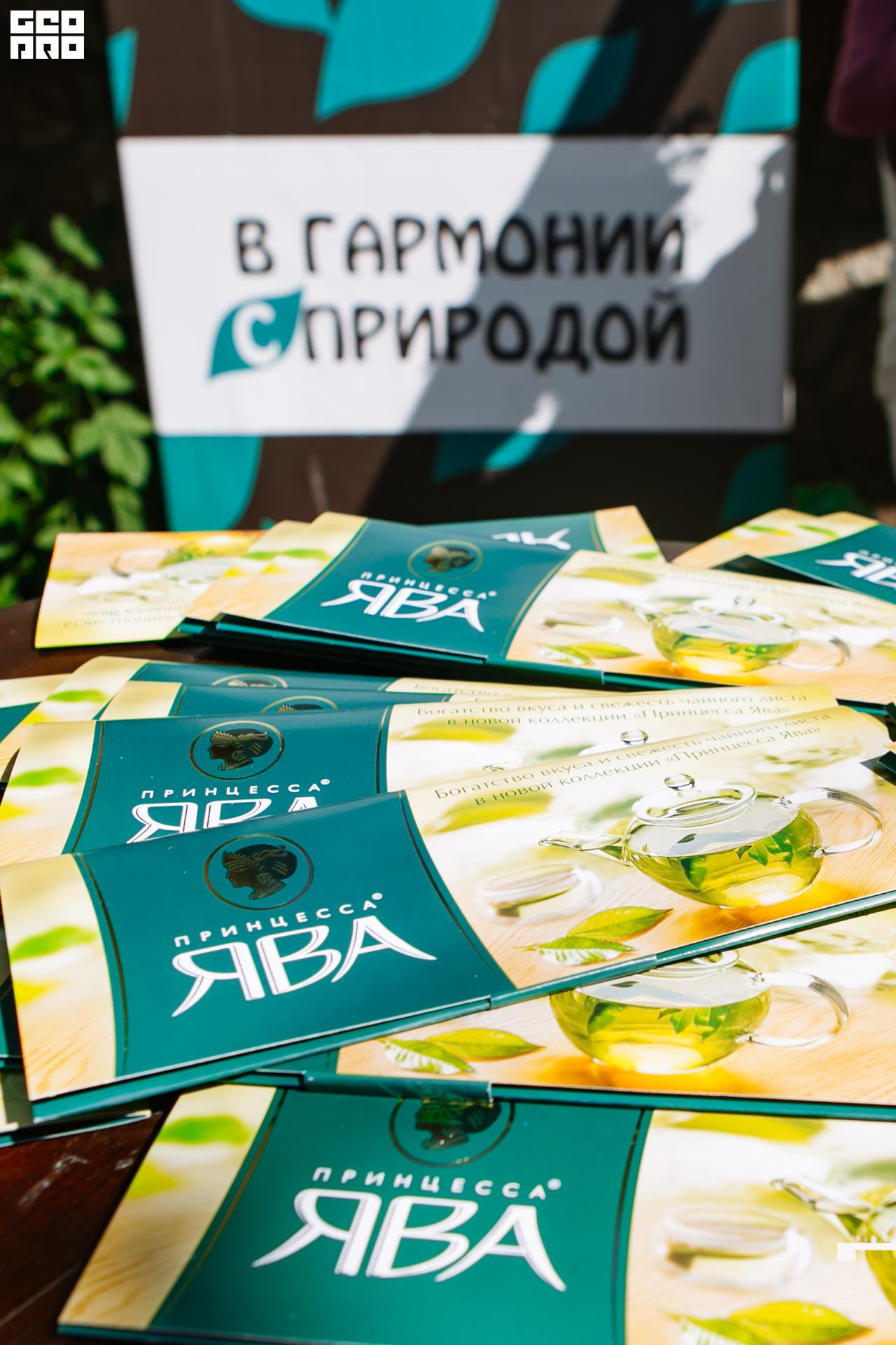 0210 190825 Organic nation.jpg