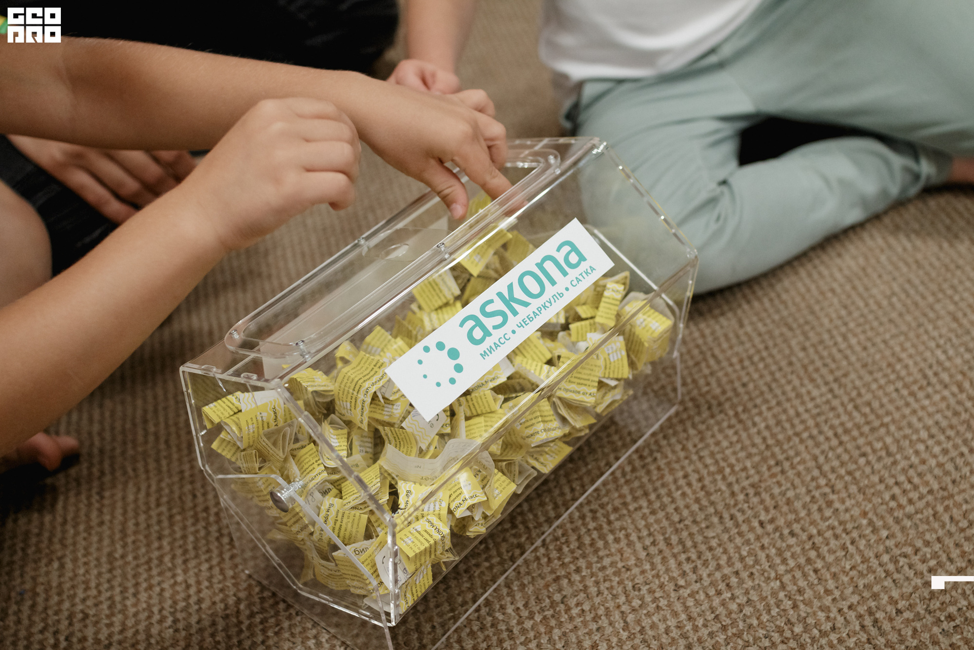 0325 190825 Organic nation.jpg