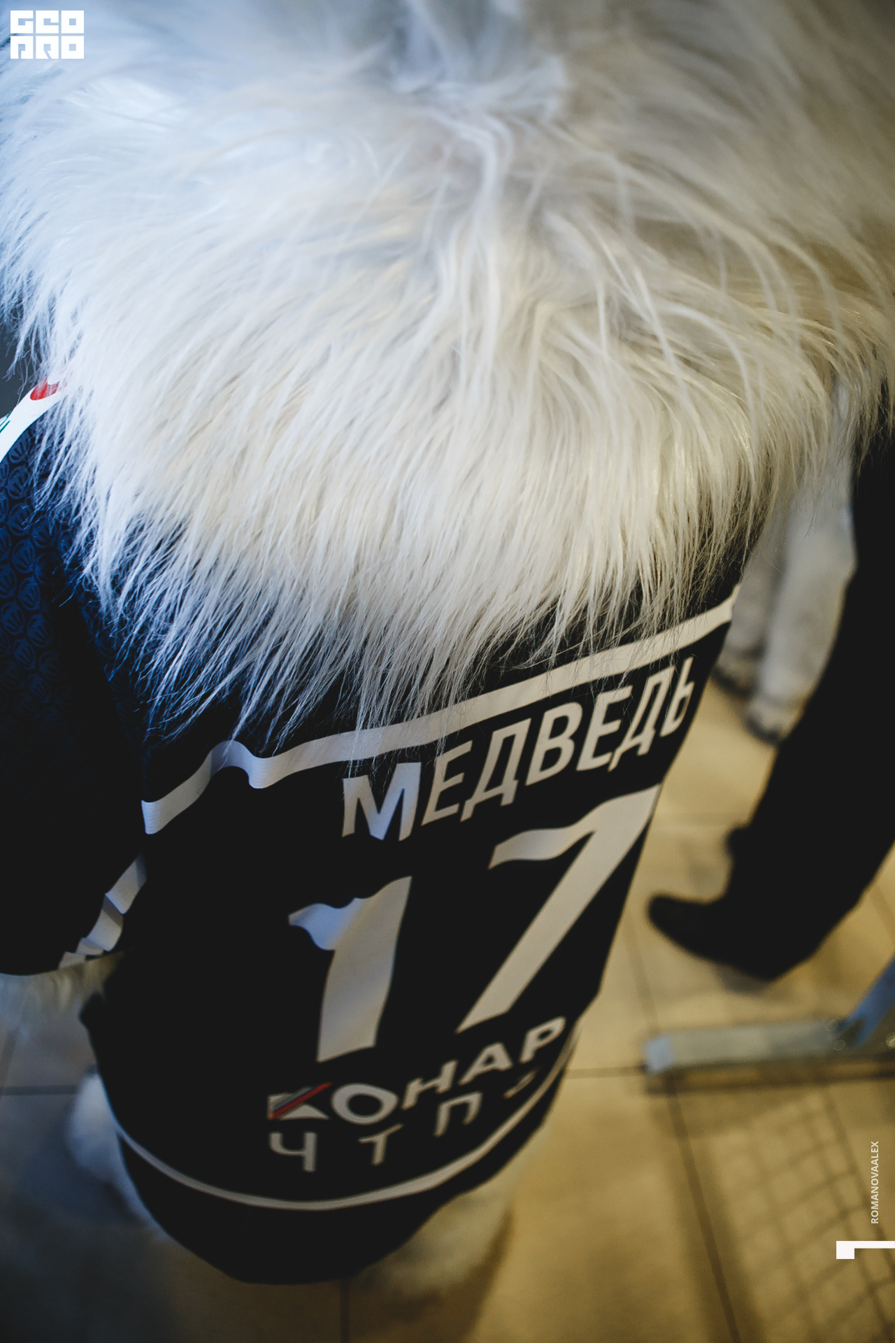 0196 2019-09-04 19-55-56_Романова.jpg