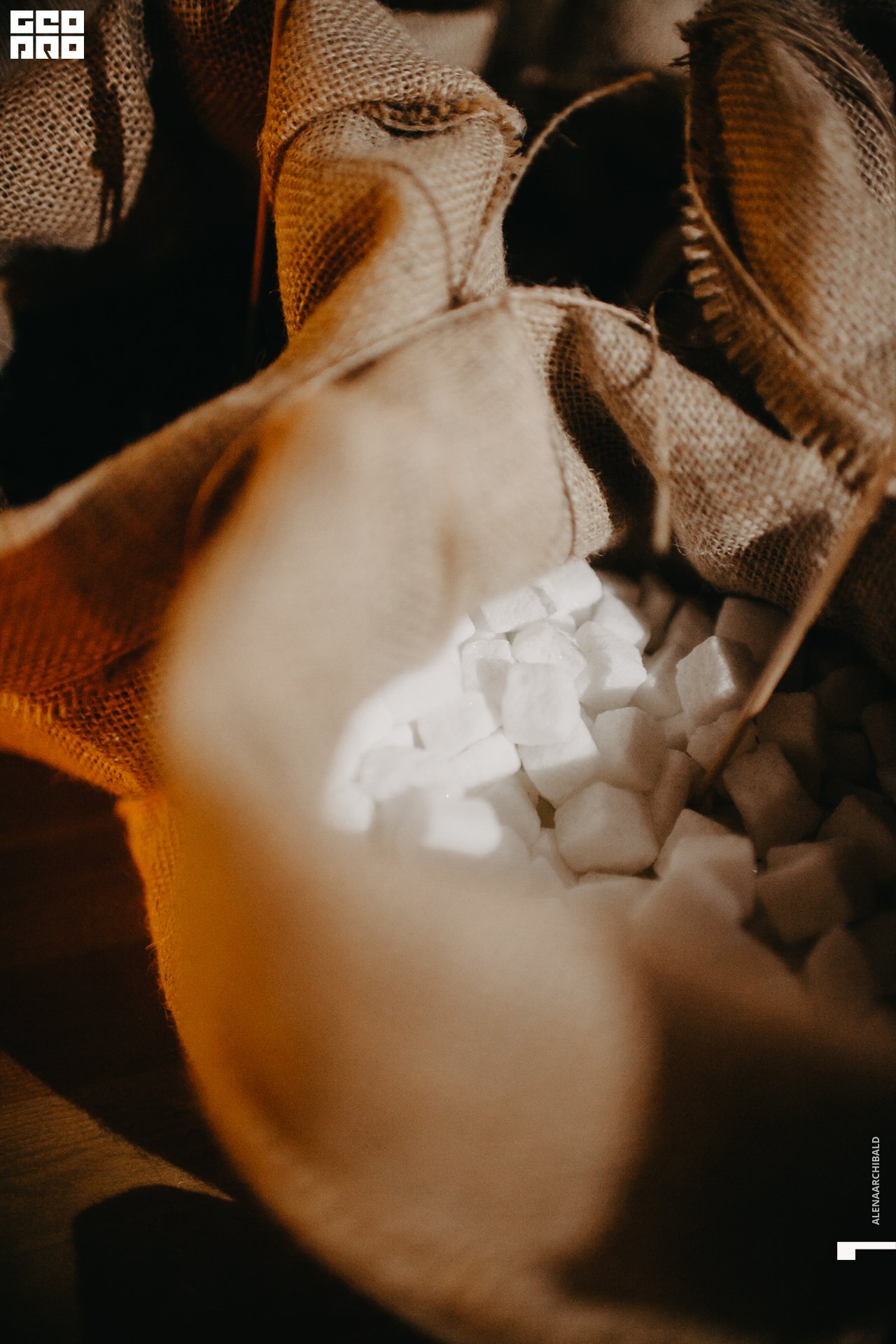 2019-09-20 19-58-51_alenaarchibald_0027.jpg