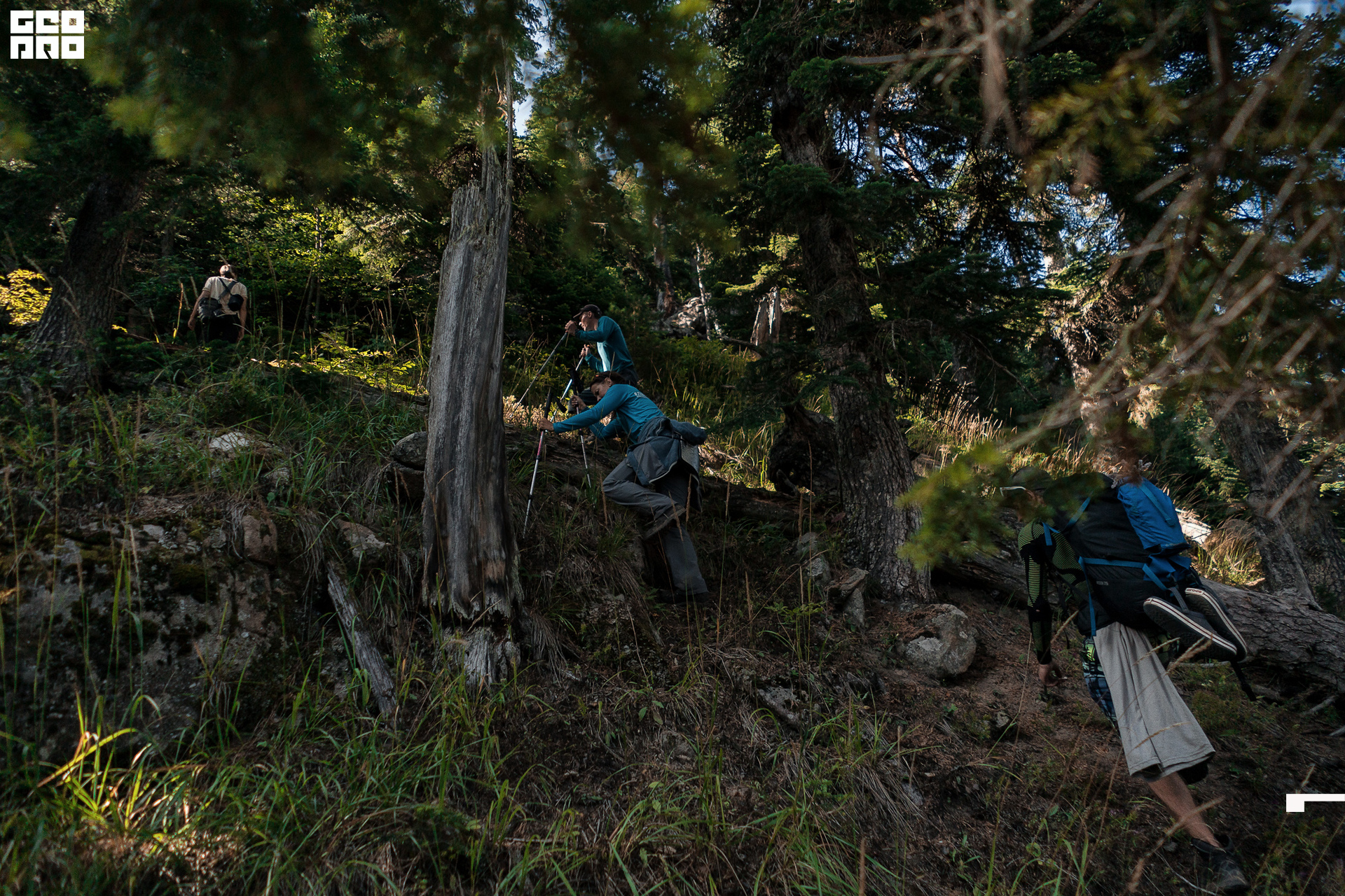 Jpeg-129 копия.jpg