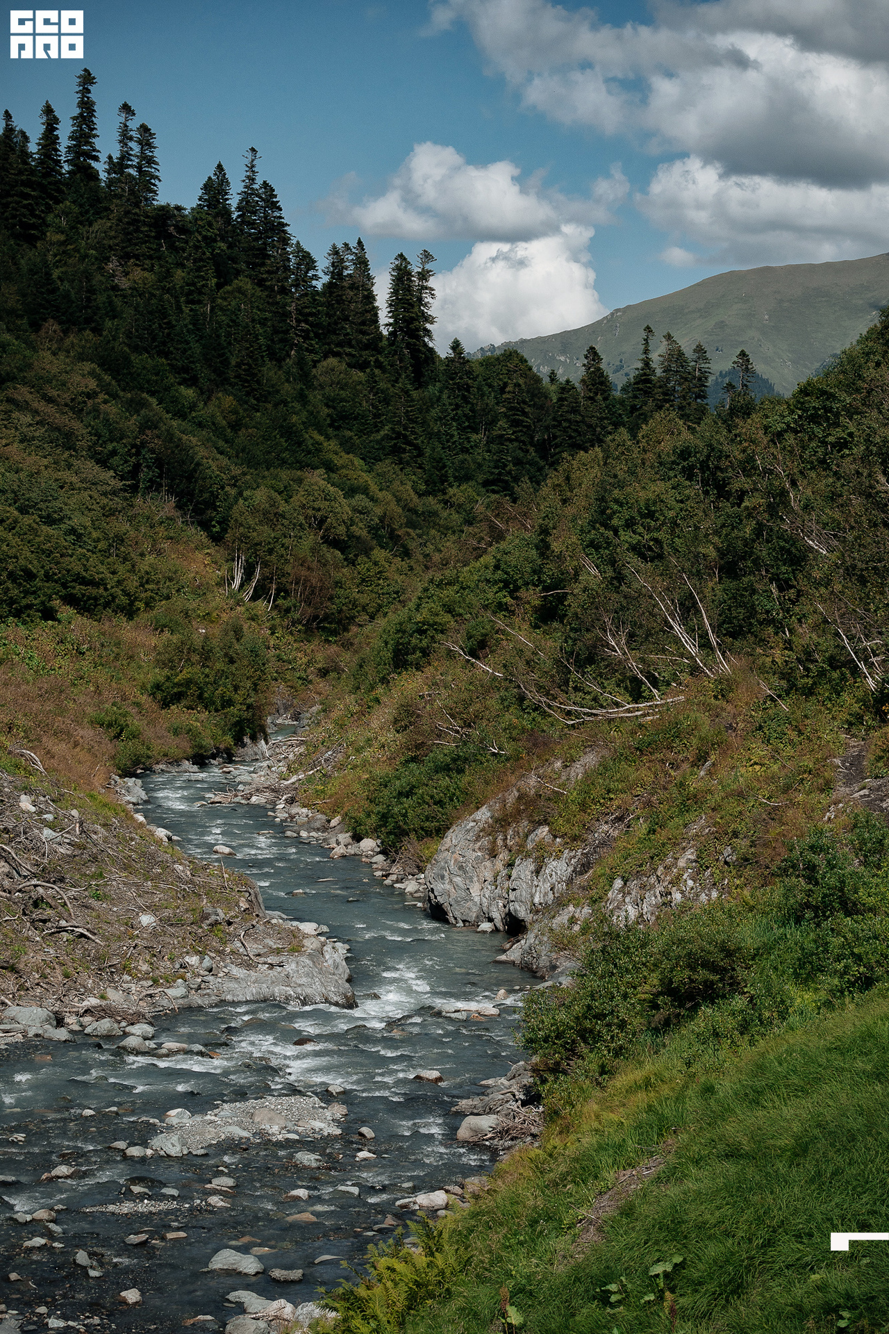 Jpeg-29 копия.jpg