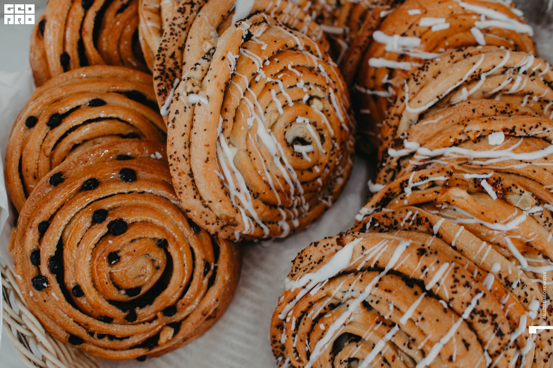 2019-09-14 17-32-17_alenaarchibald_.jpg