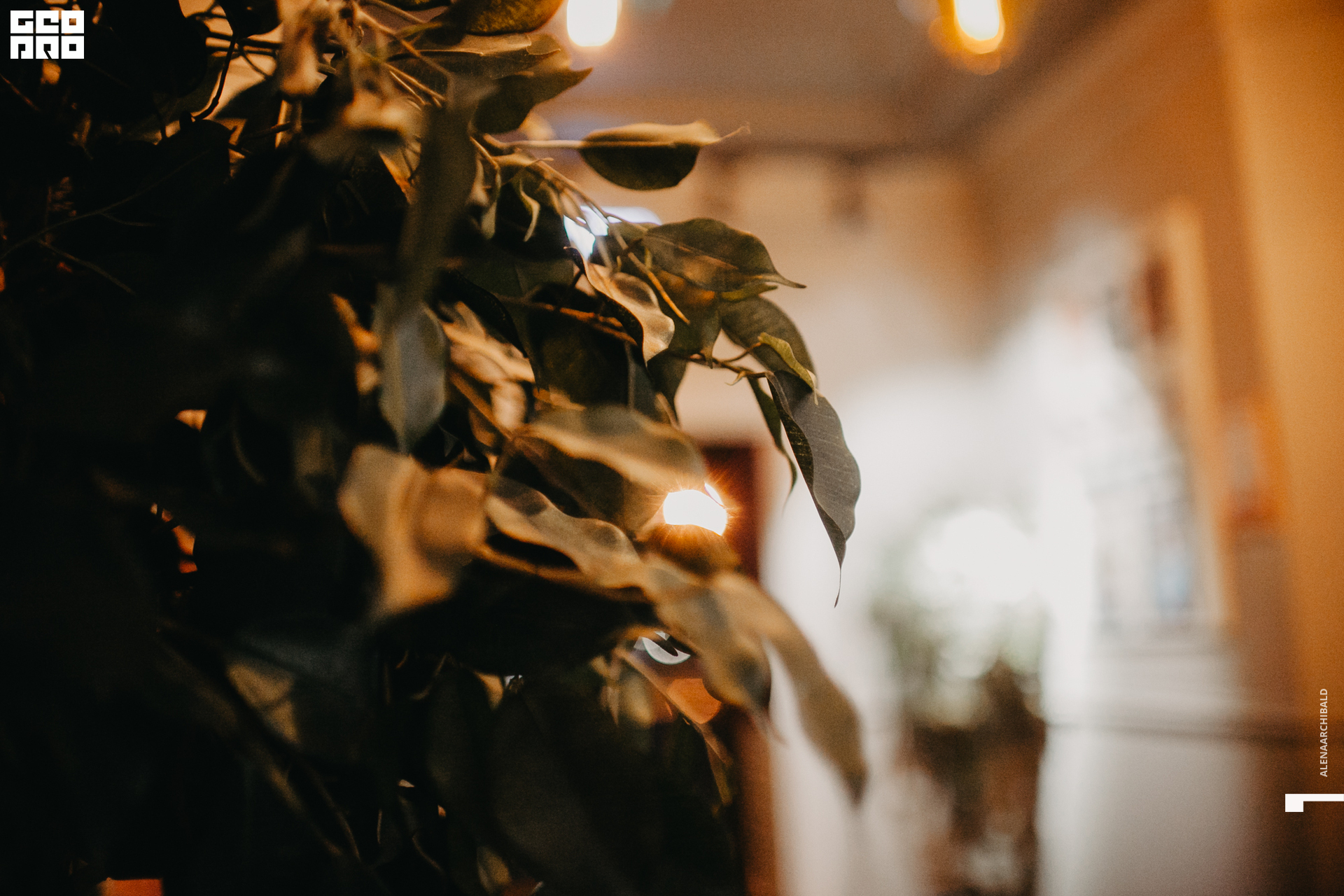 2019-09-20 19-58-51_alenaarchibald_0079.jpg