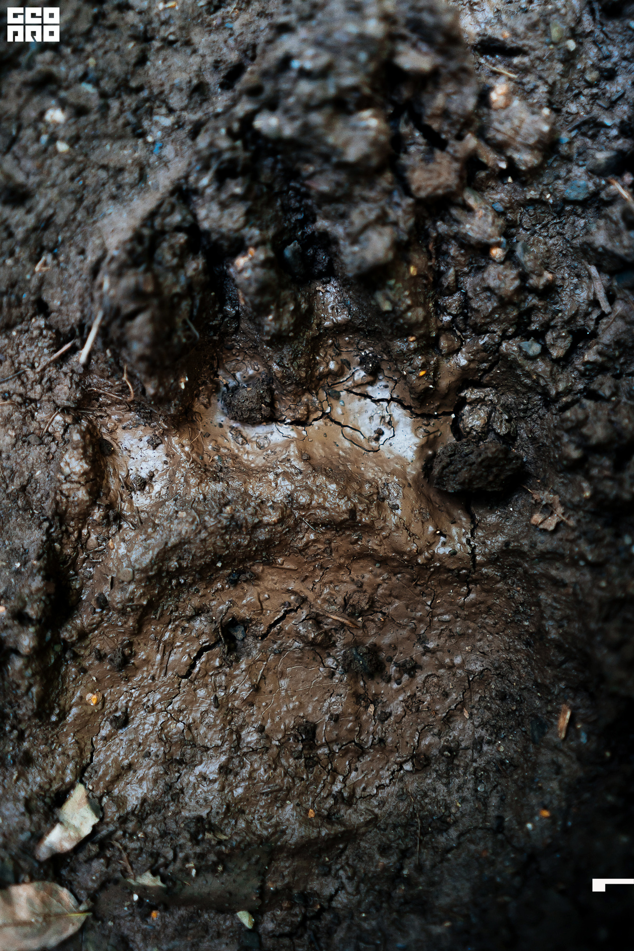 Jpeg-42 копия.jpg