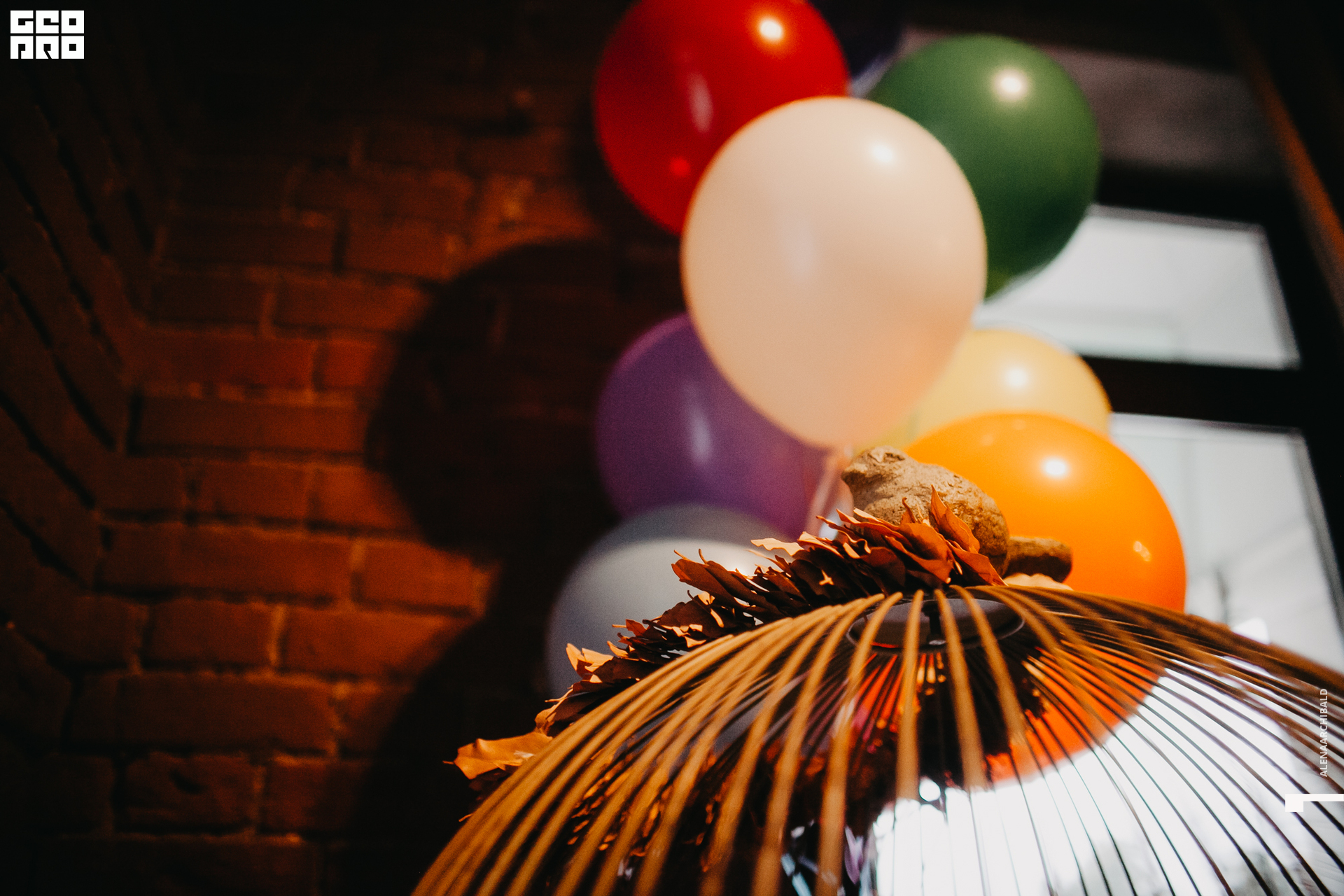 2019-09-02 19-00-16_alenaarchibald_0050.jpg