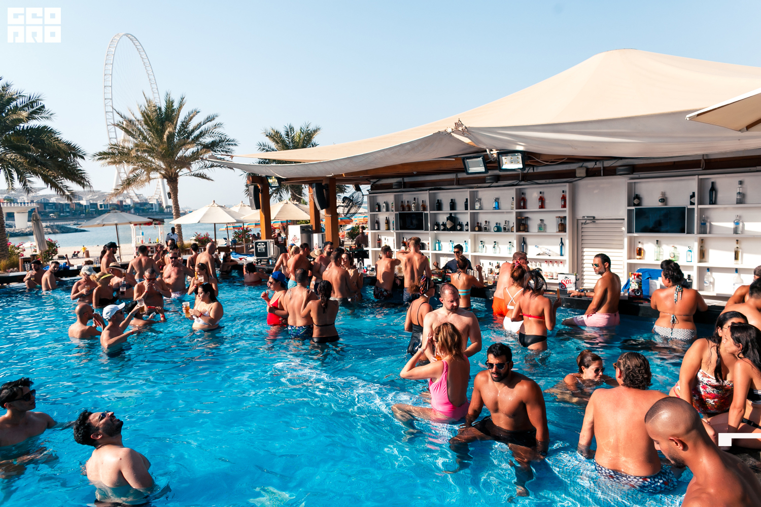 Areia (16 of 80).jpg