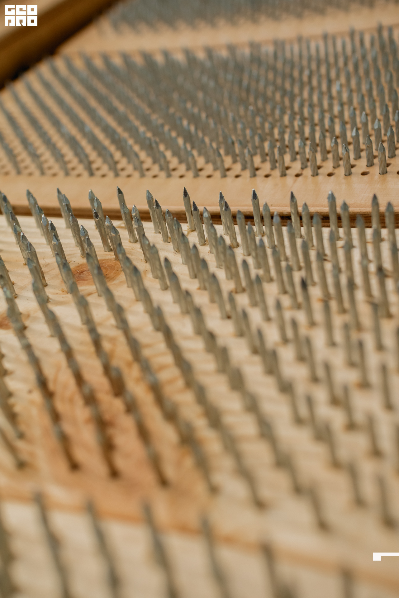 0305 190825 Organic nation.jpg