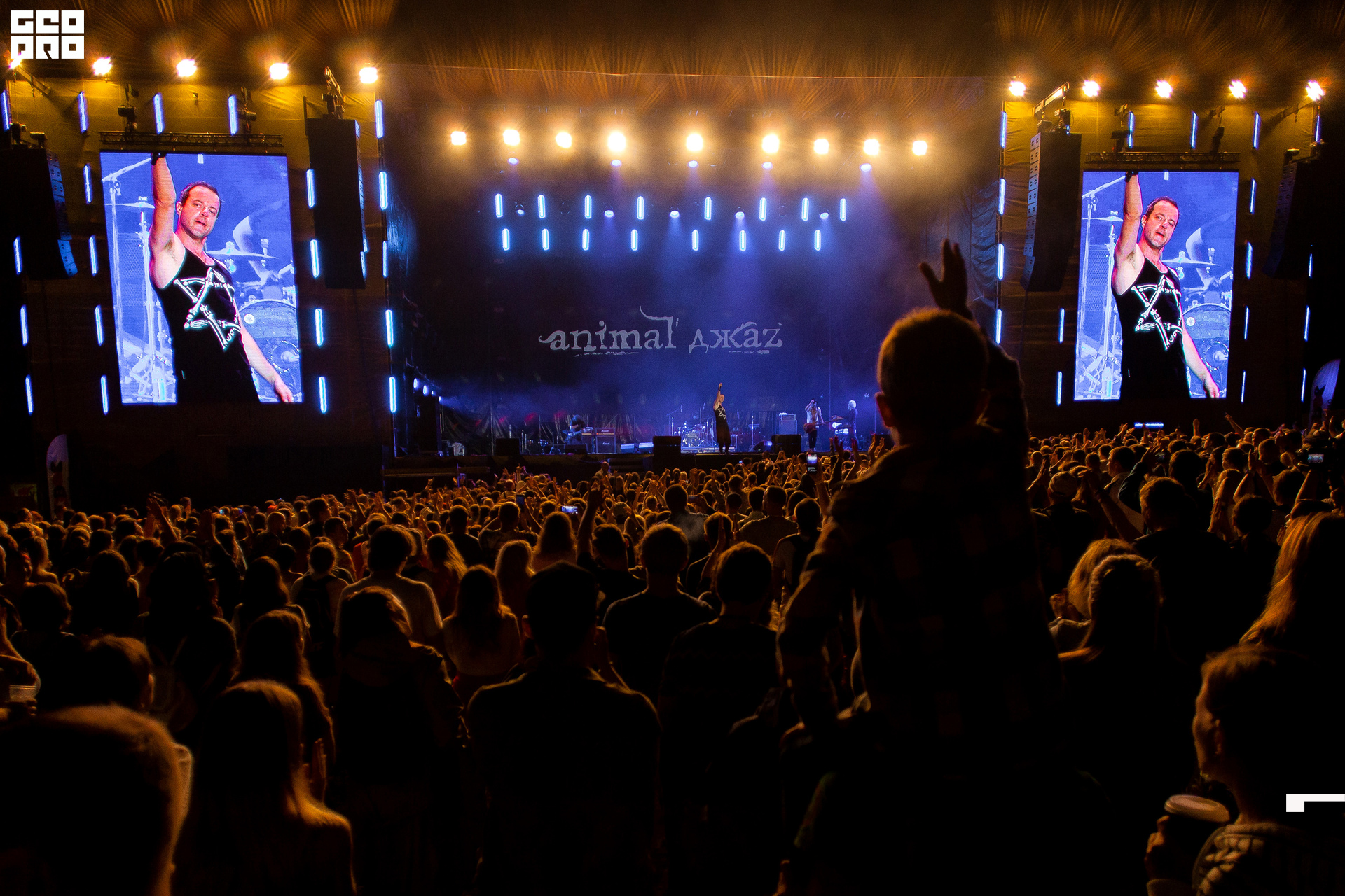 livefest ph-485 копия.jpg