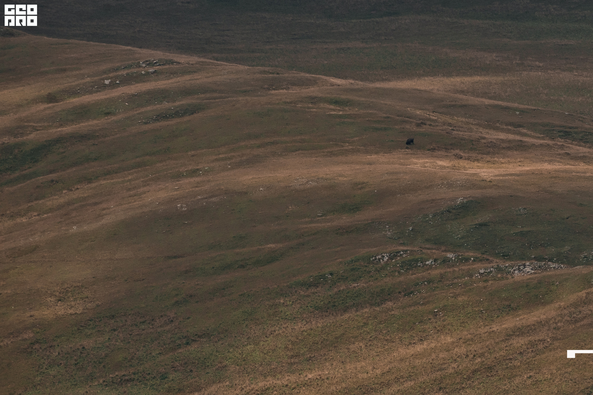 Jpeg-245 копия.jpg