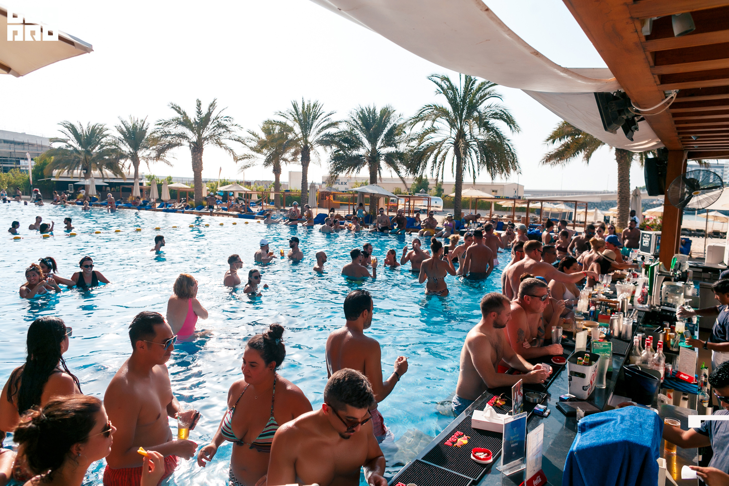 Areia (58 of 80).jpg