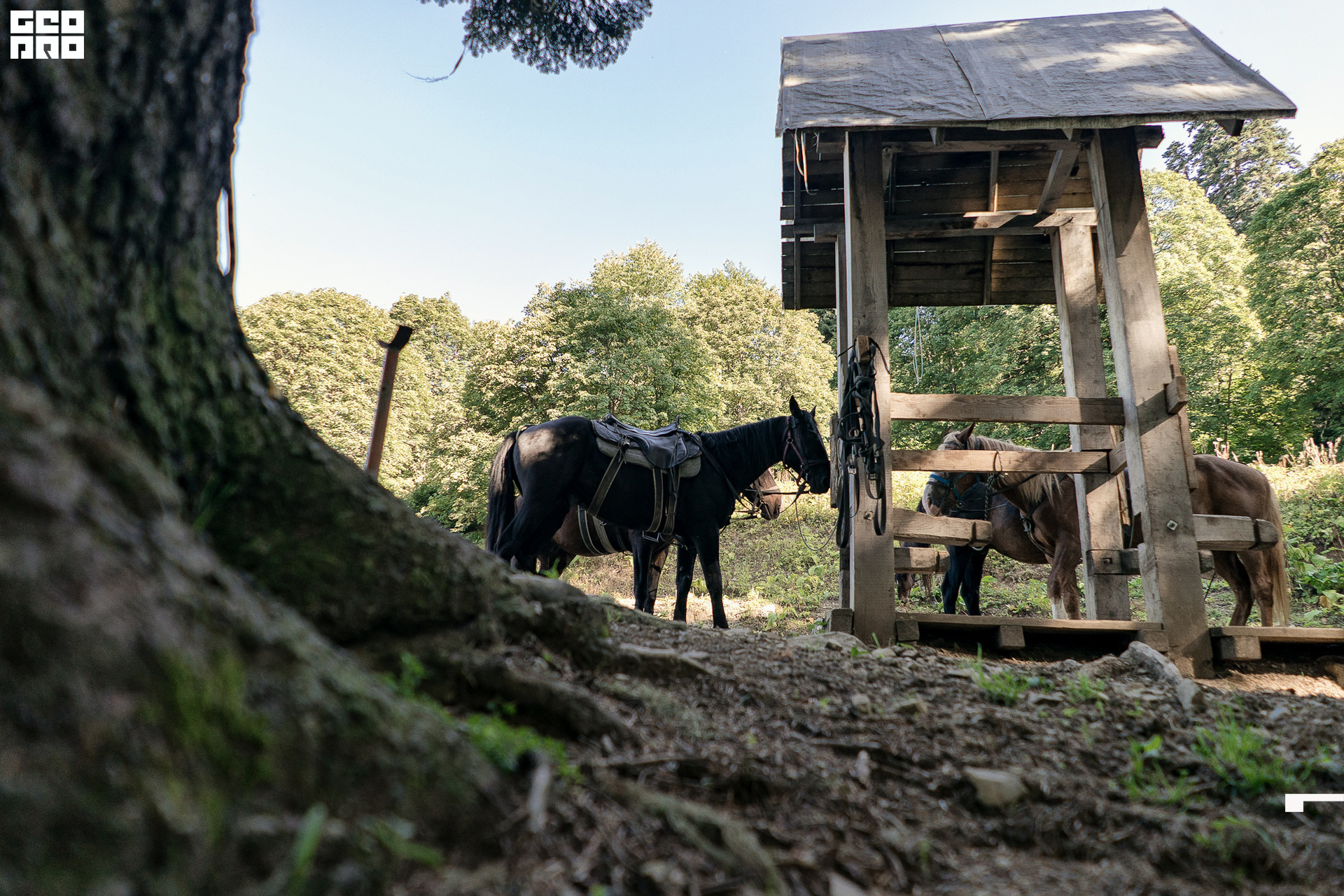 Jpeg-3 копия.jpg