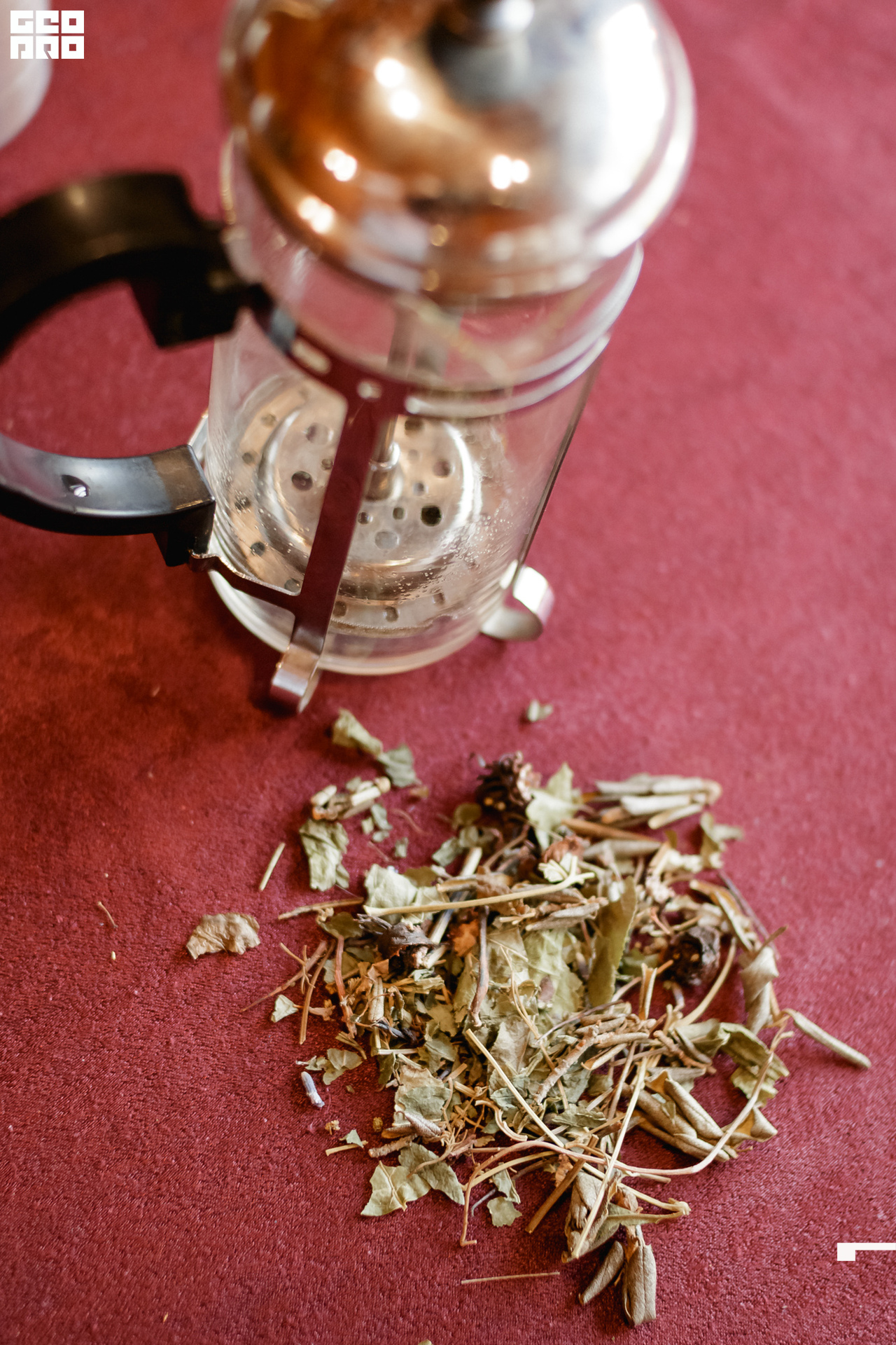 0038 190825 Organic nation.jpg