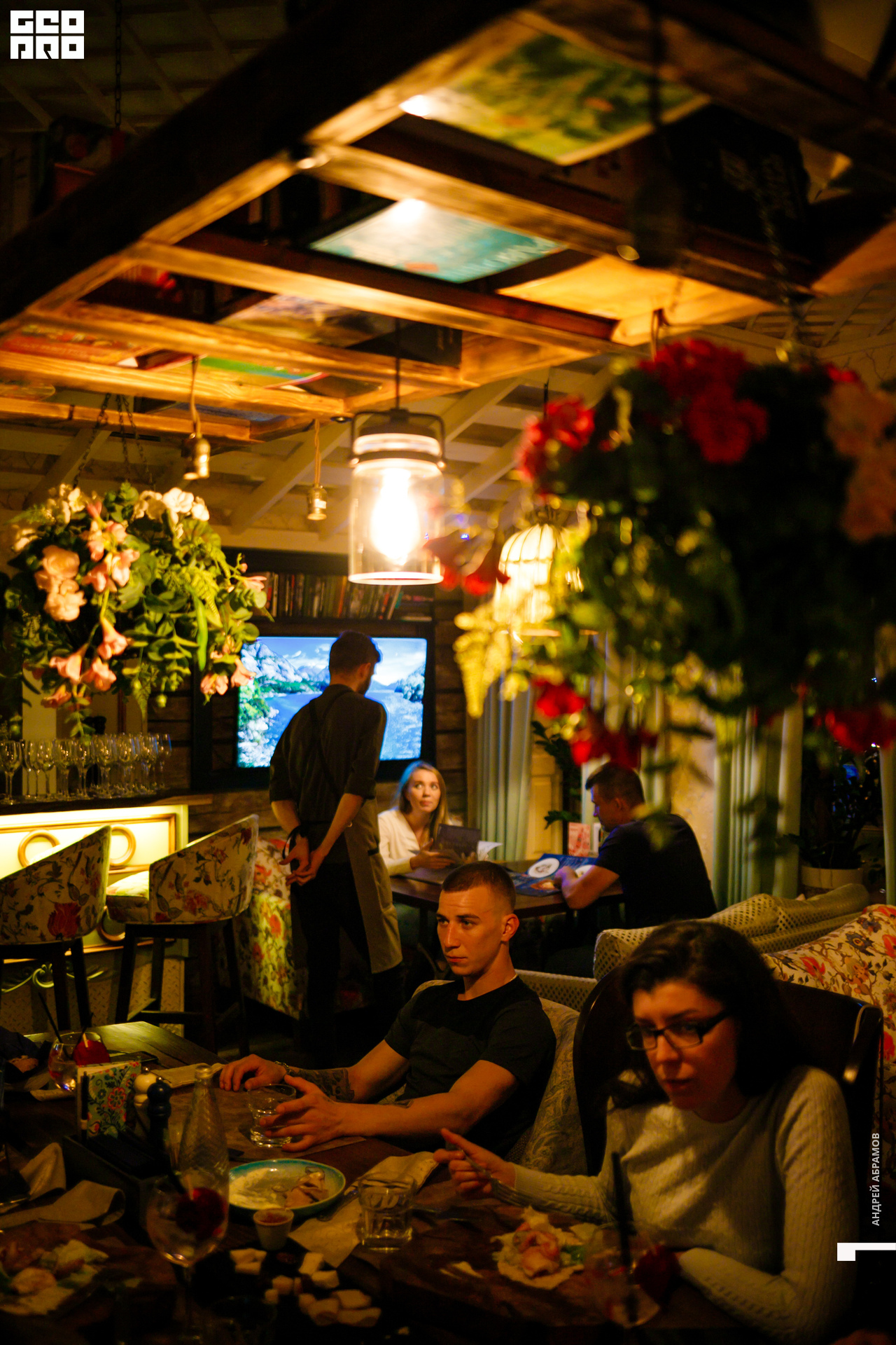 300819 Птичка Абрамов075.jpg