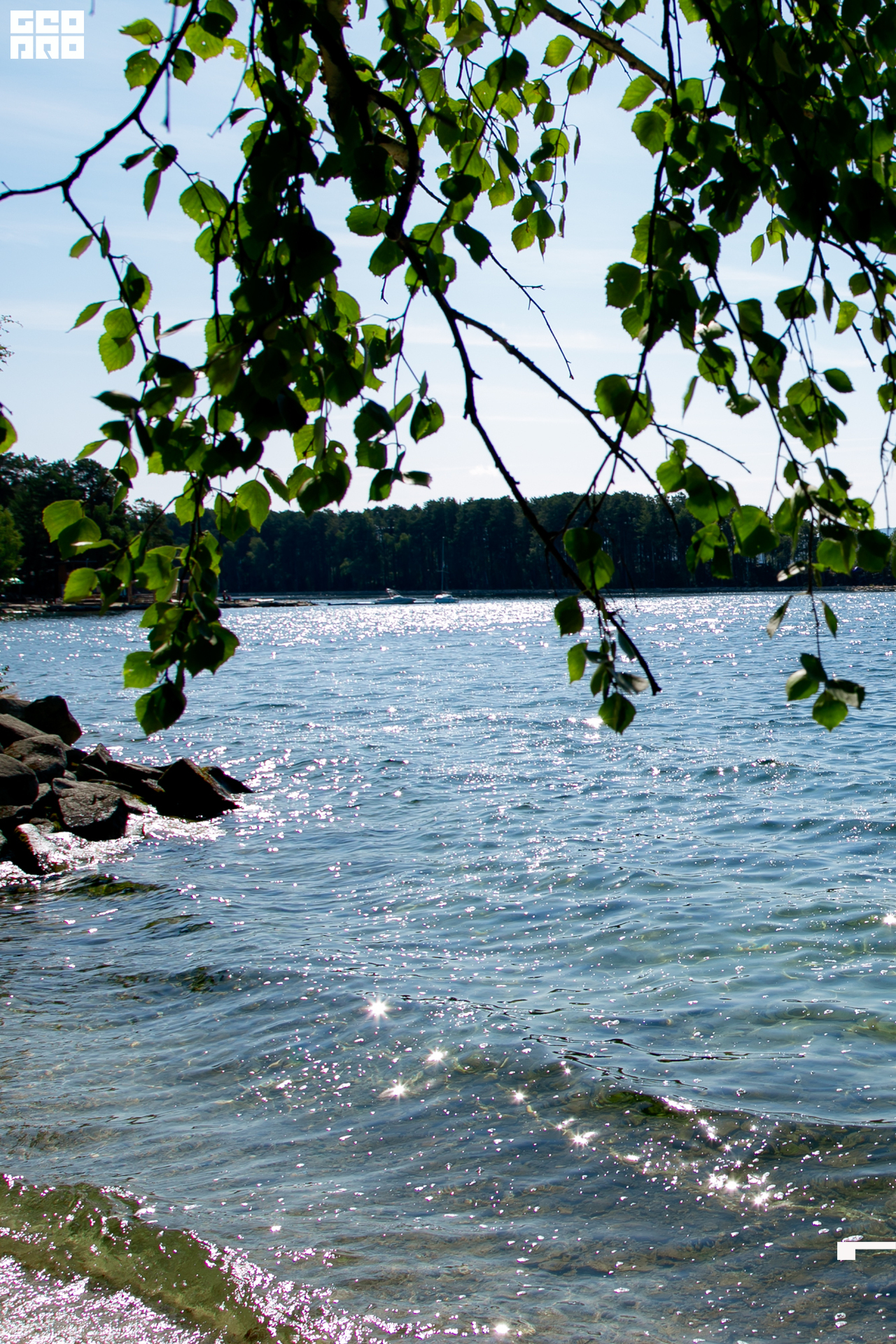 0045 190825 Organic nation.jpg