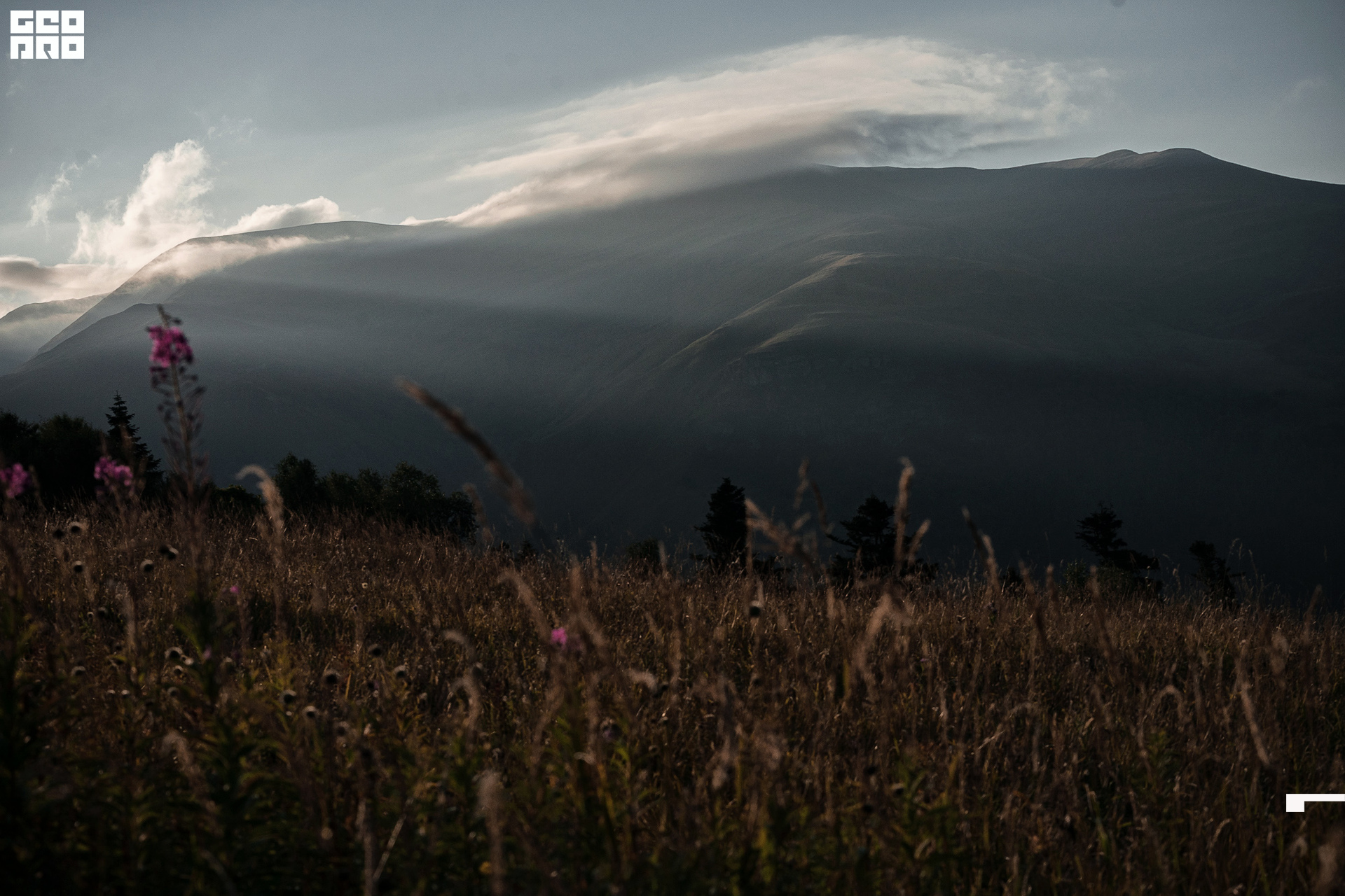 Jpeg-139 копия.jpg