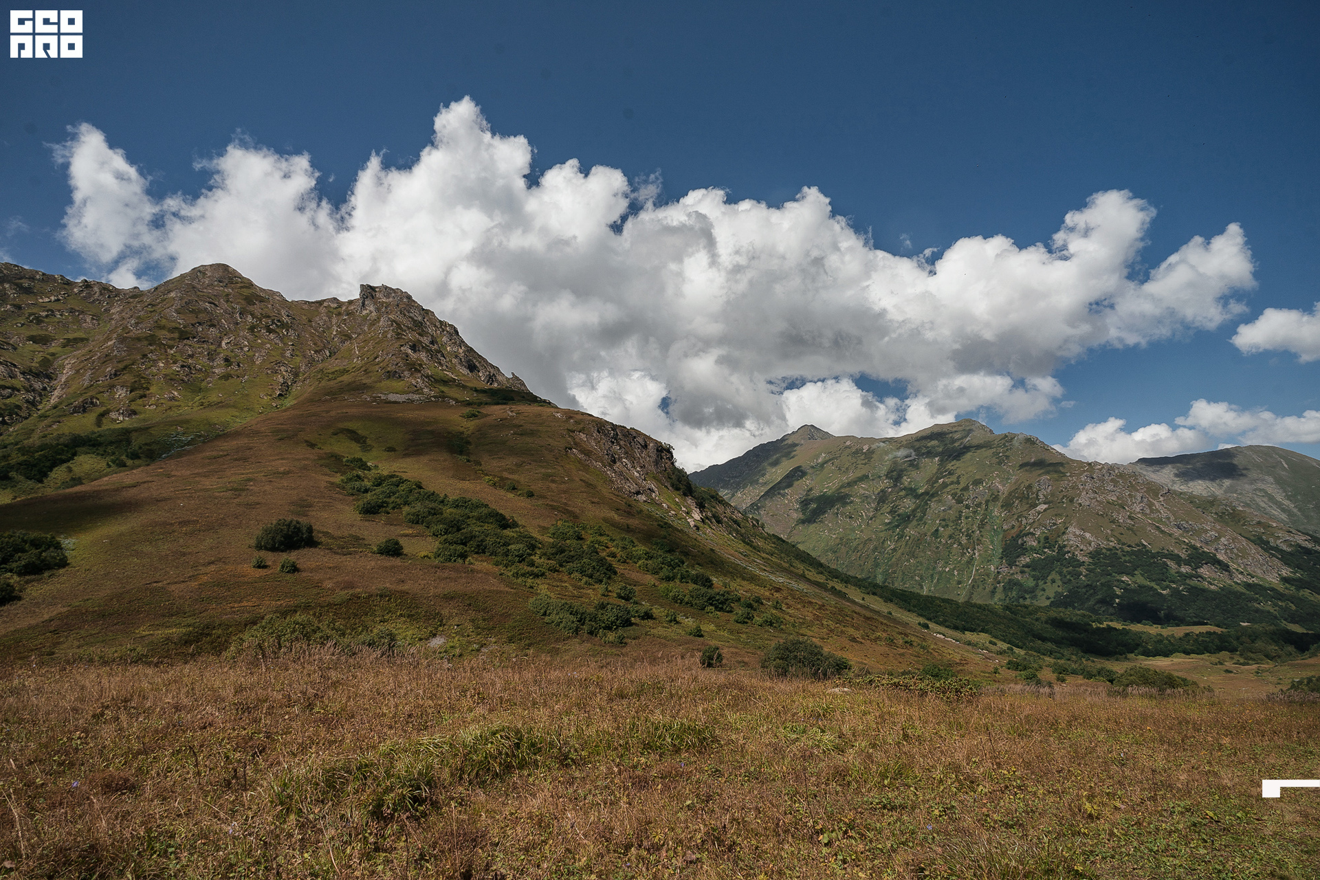 Jpeg-283 копия.jpg