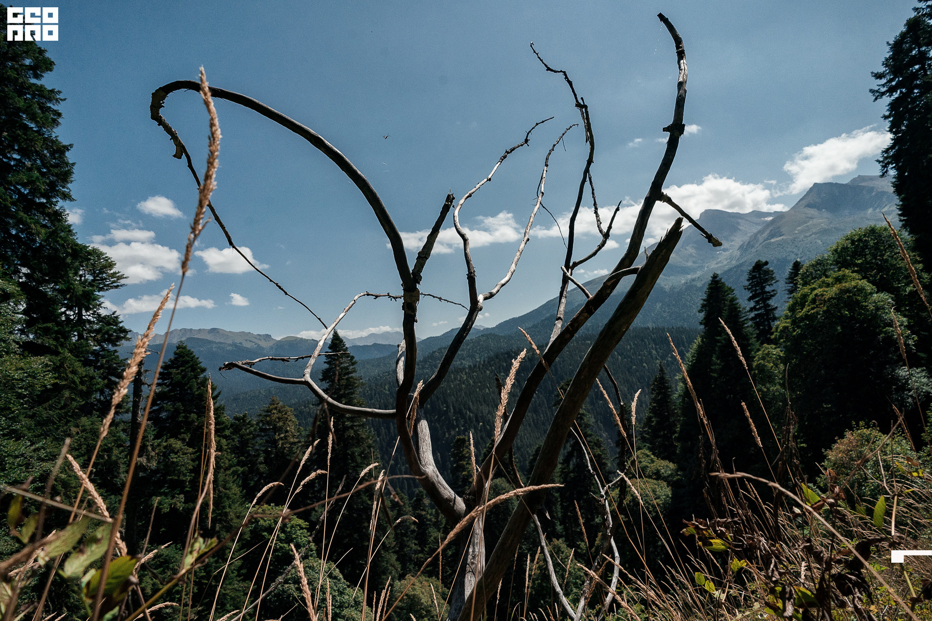 Jpeg-118 копия.jpg