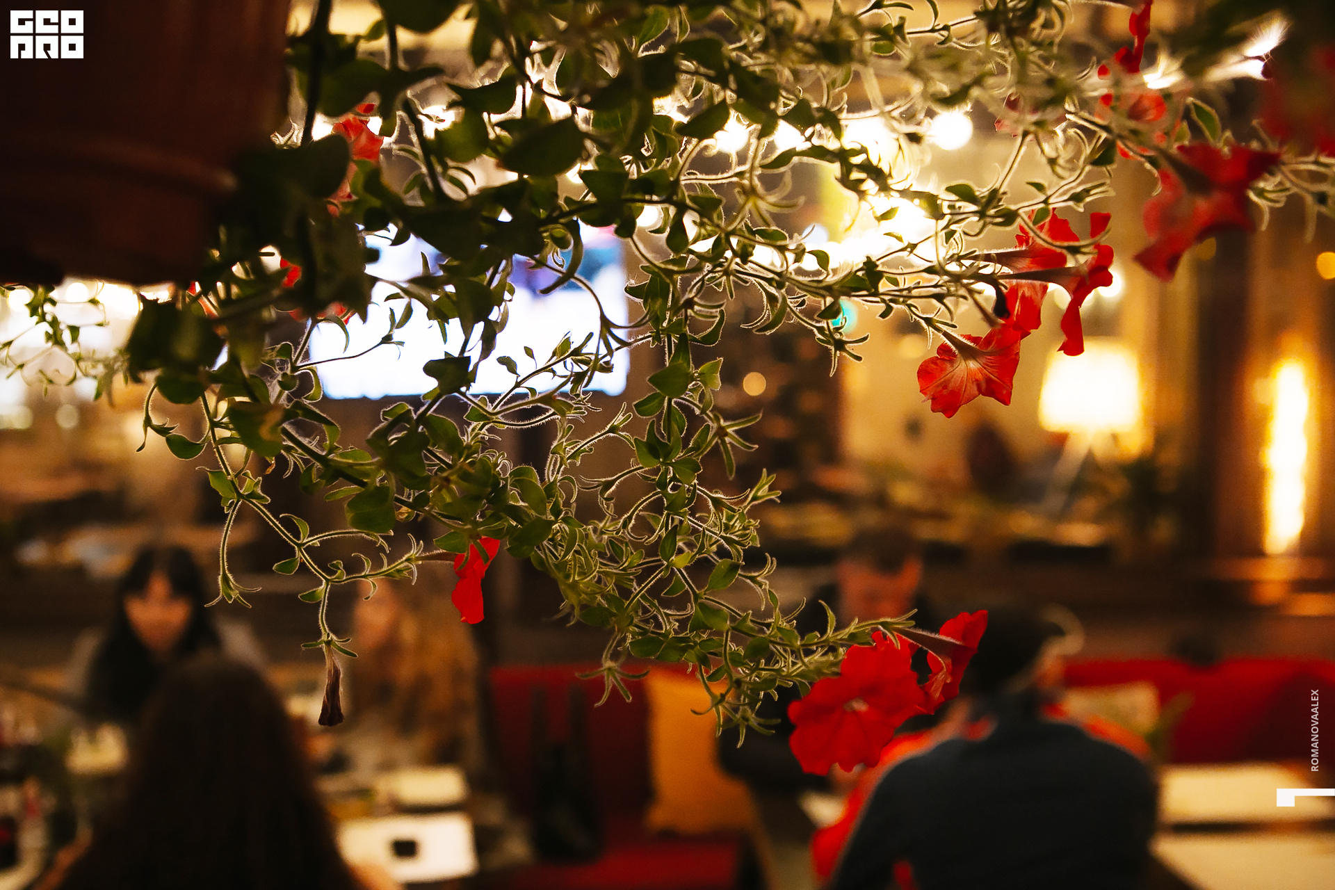 0035 2019-08-31 20-43-21_Романова.jpg