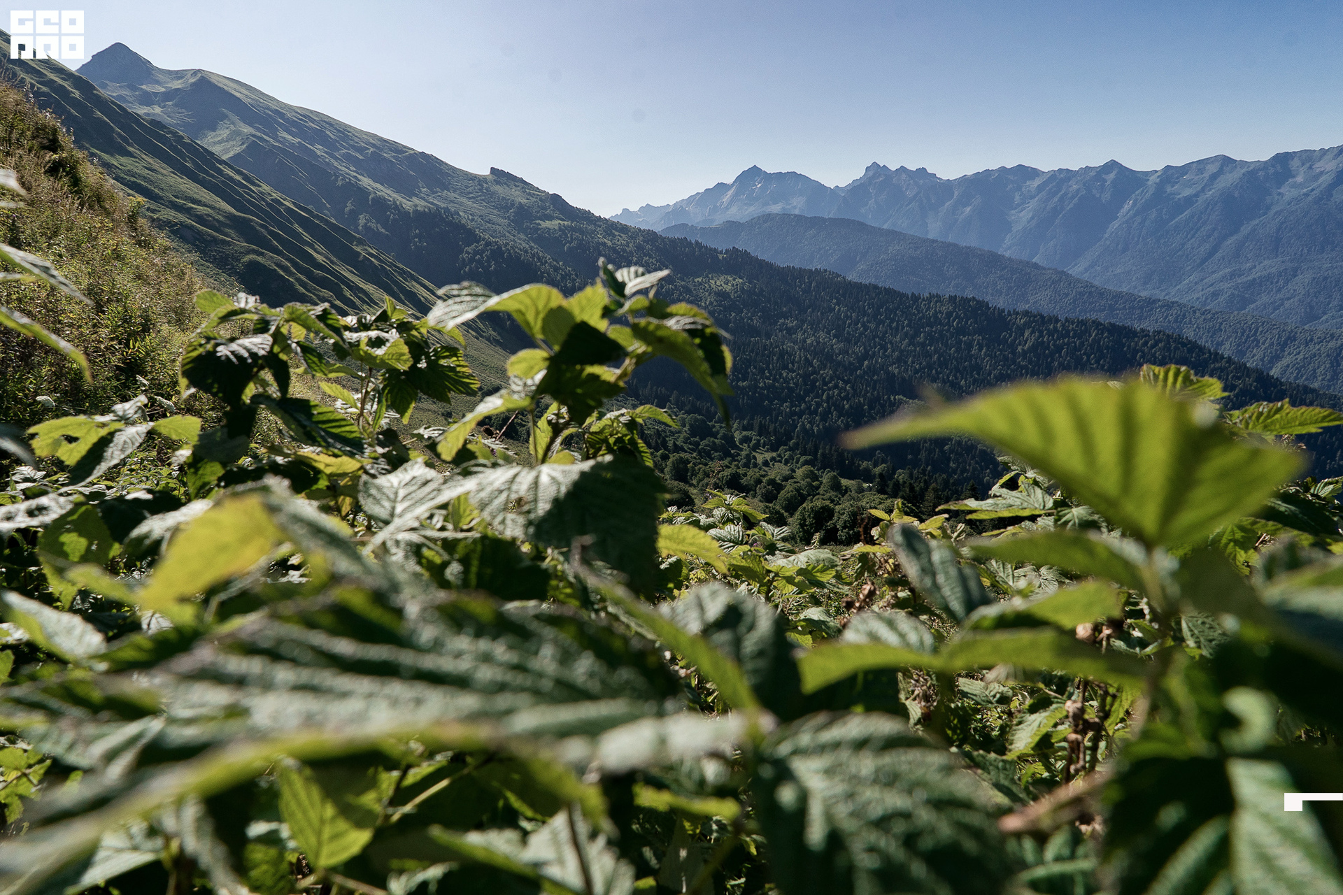 Jpeg-5 копия.jpg