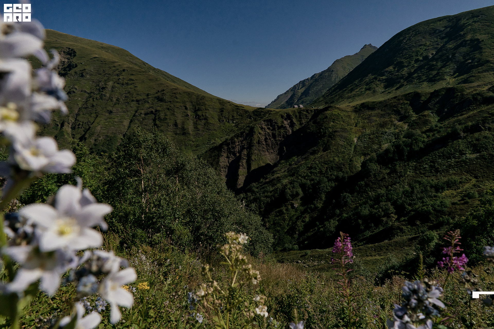 Jpeg-10 копия.jpg