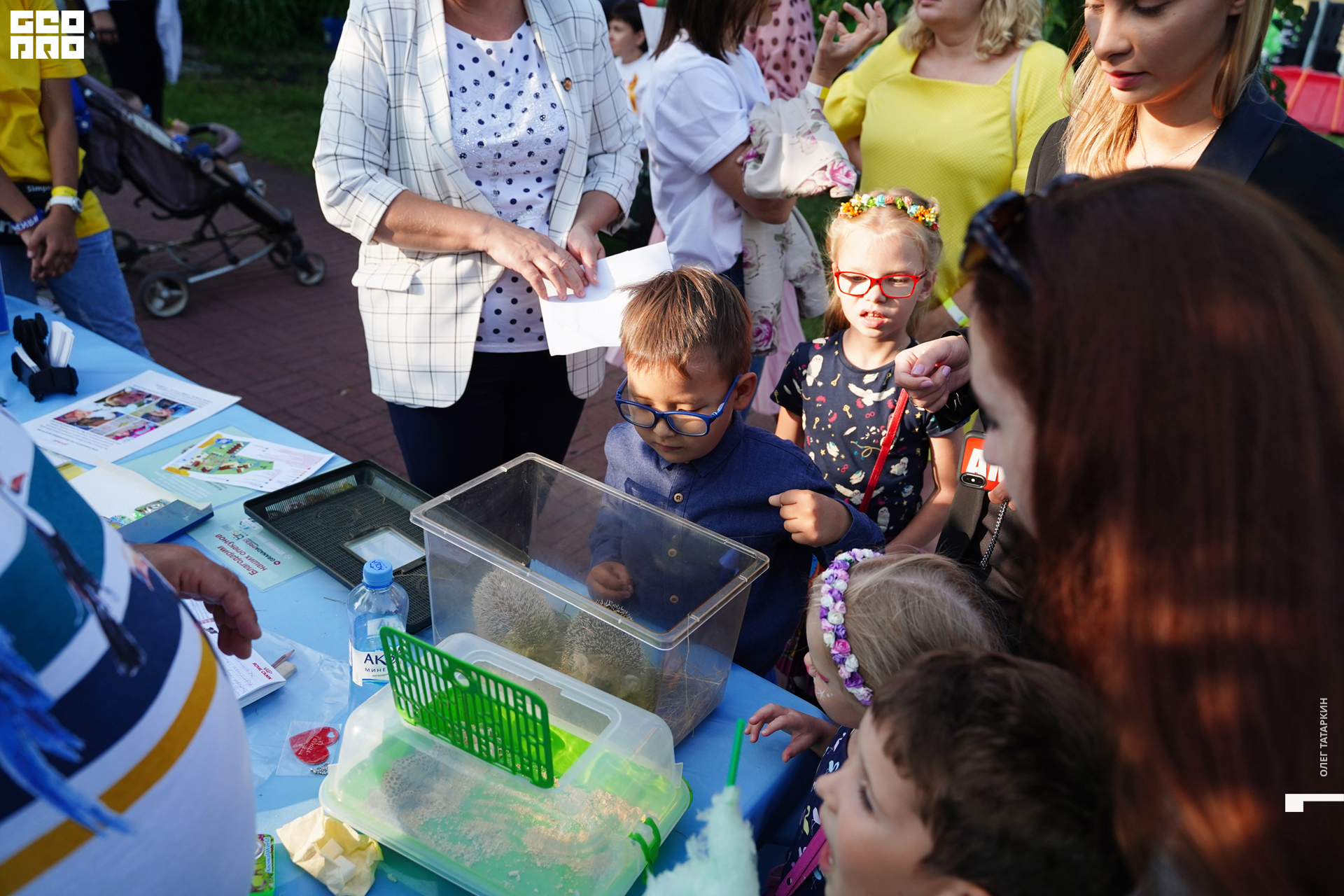 19-08-22 17-40-25_Татаркин.jpg