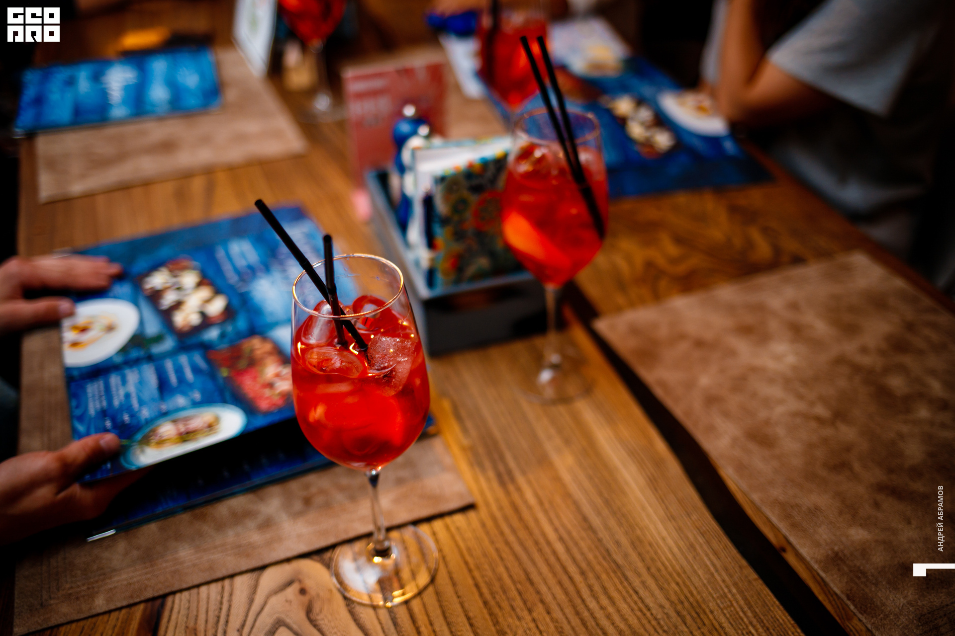 300819 Птичка Абрамов038.jpg