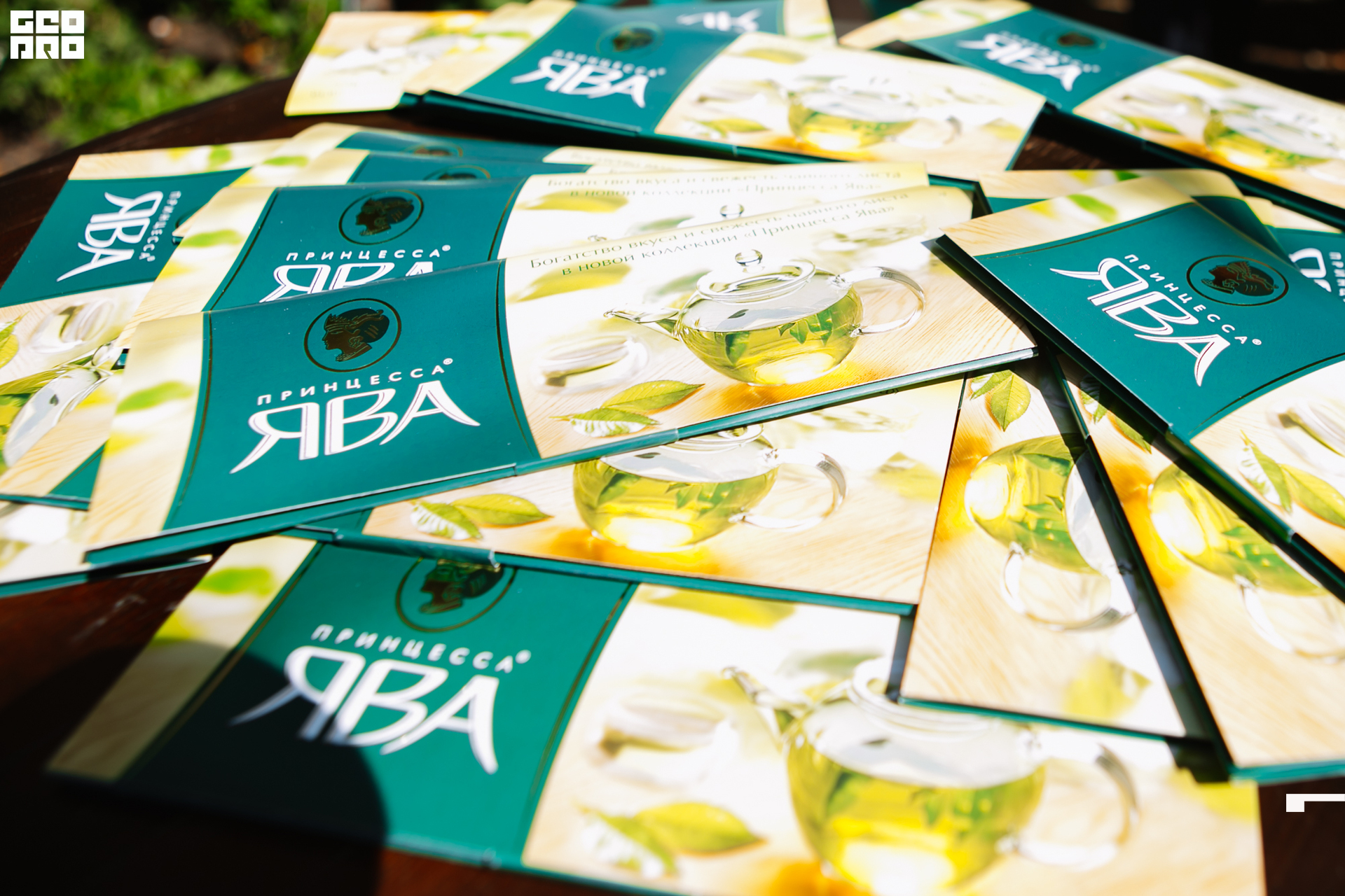 0179 190825 Organic nation.jpg